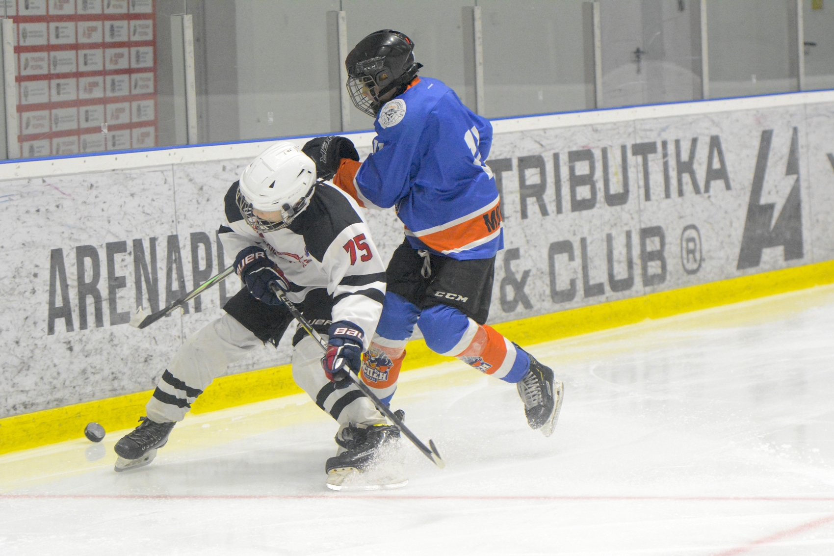 Фото: Аспен-2011 – Технопул – 1:3