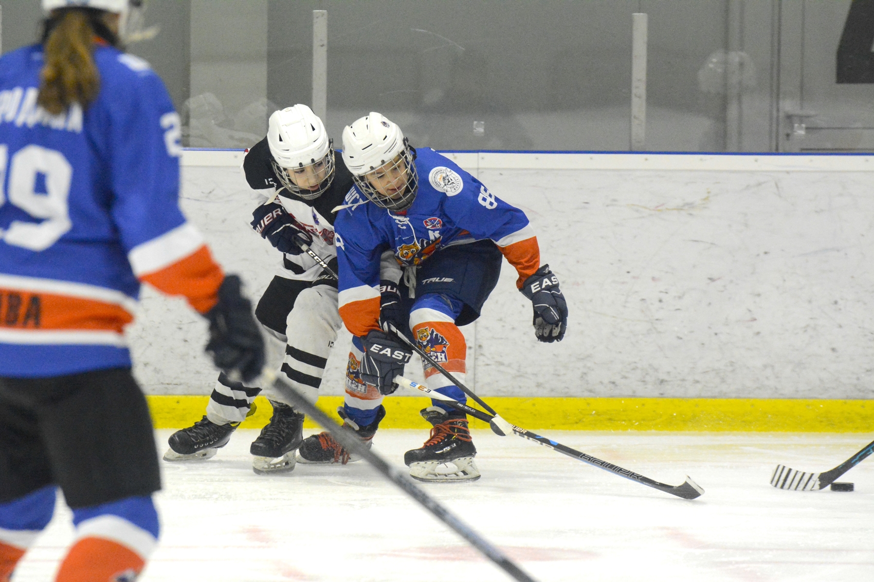 Фото: Аспен-2011 – Технопул – 1:3