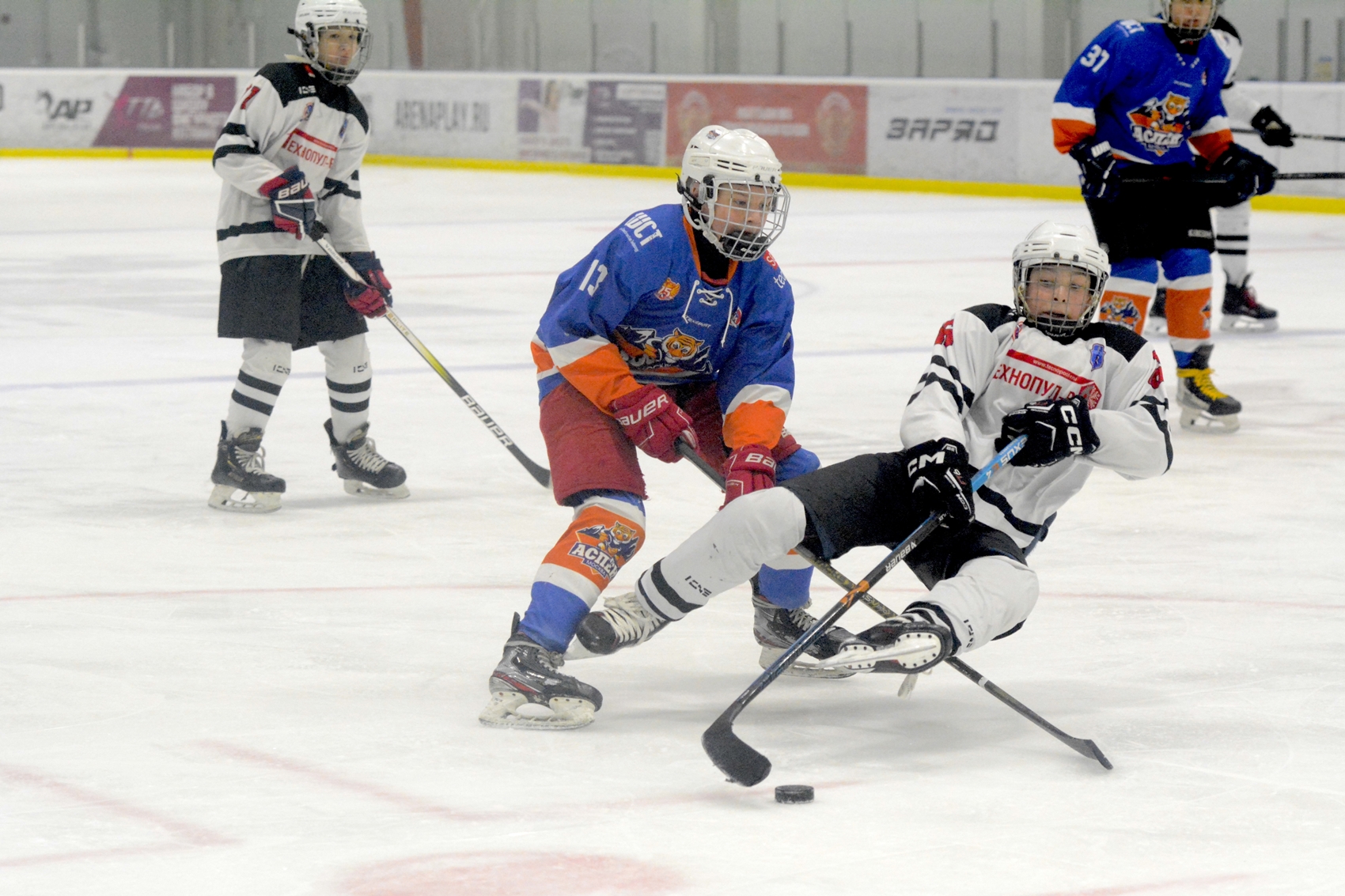 Фото: Аспен-2011 – Технопул – 1:3