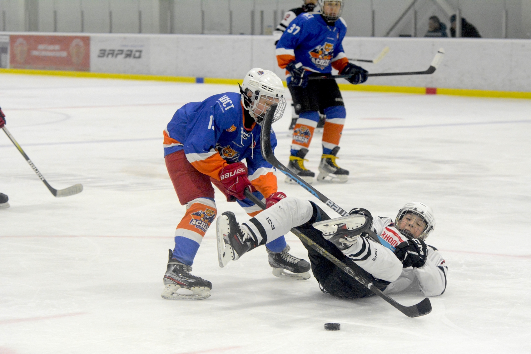 Фото: Аспен-2011 – Технопул – 1:3