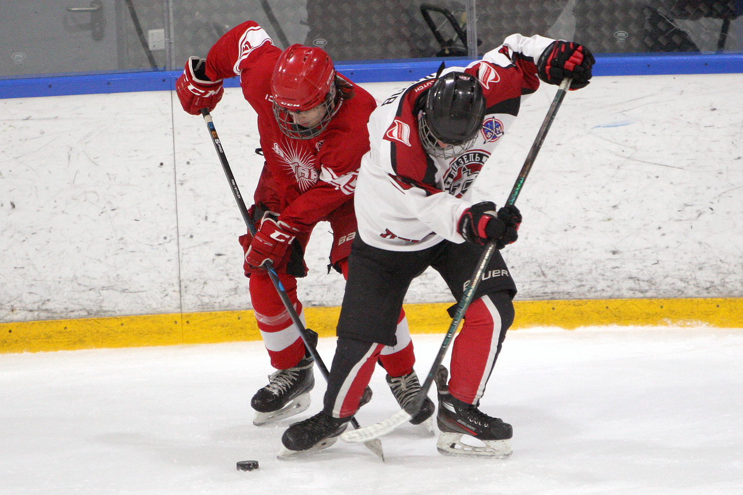 Фото: Янтарь-2008 – Дизель – 1:5