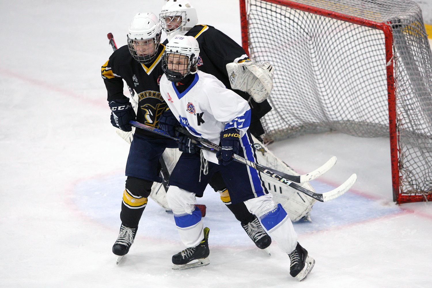 Фото: Пингвины-2010 – Вымпел – 2:10