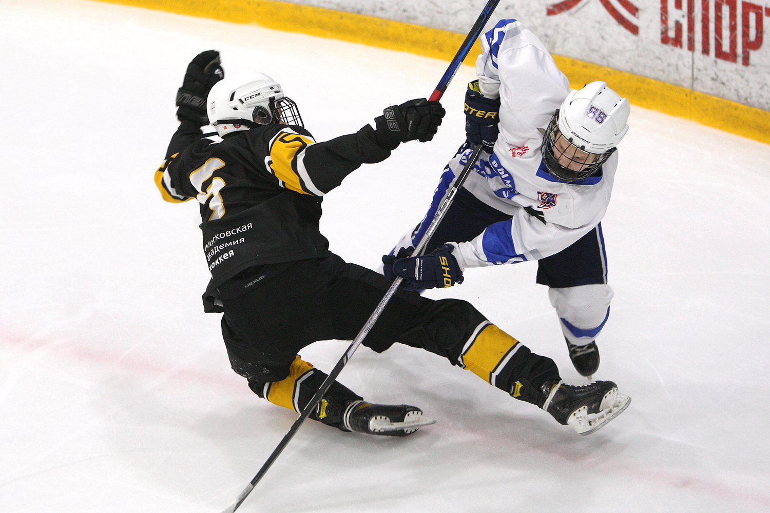 Фото: Пингвины-2010 – Вымпел – 2:10