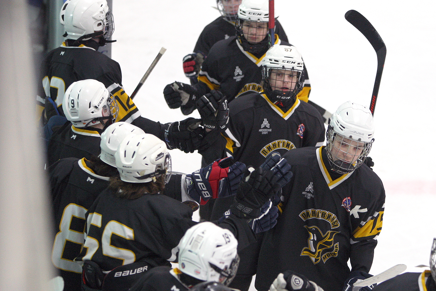Фото: Пингвины-2010 – Вымпел – 2:10
