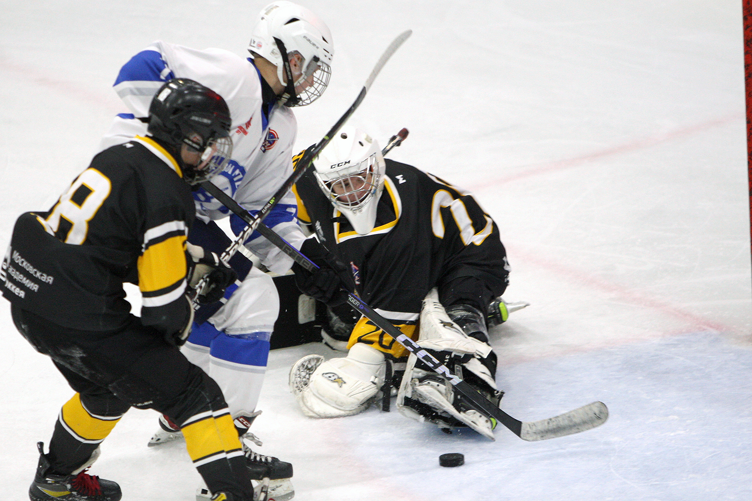 Фото: Пингвины-2010 – Вымпел – 2:10
