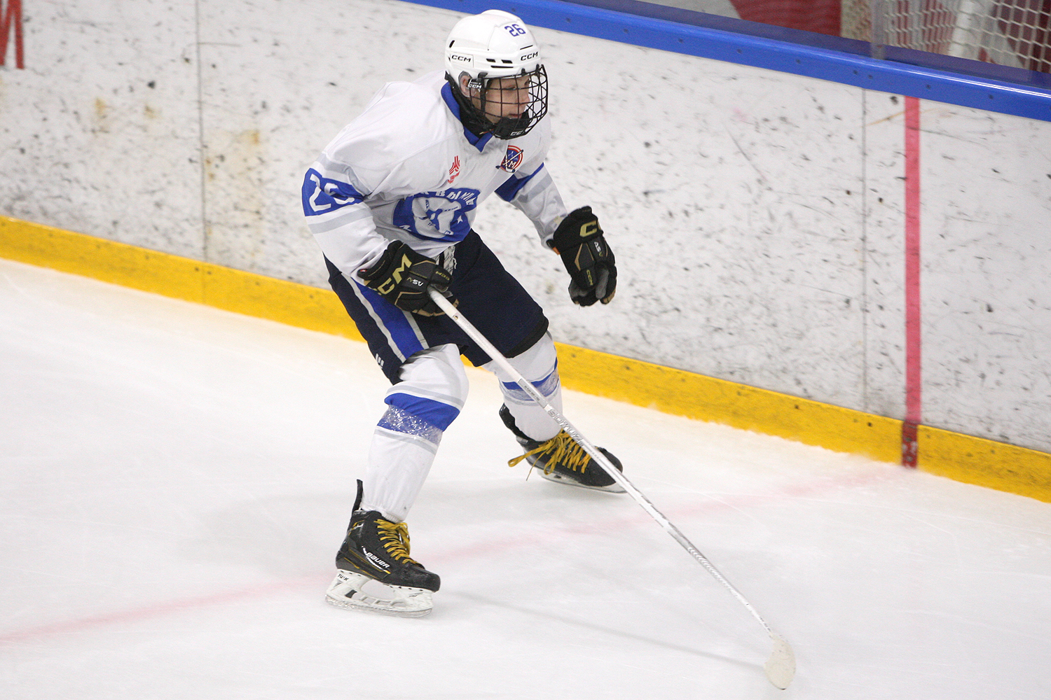 Фото: Пингвины-2010 – Вымпел – 2:10