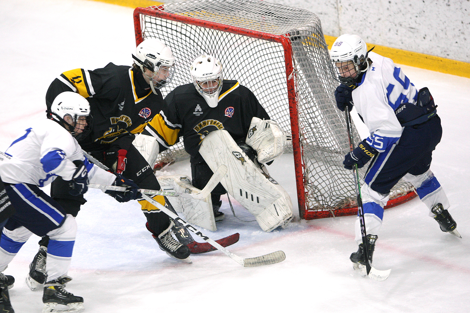 Фото: Пингвины-2010 – Вымпел – 2:10