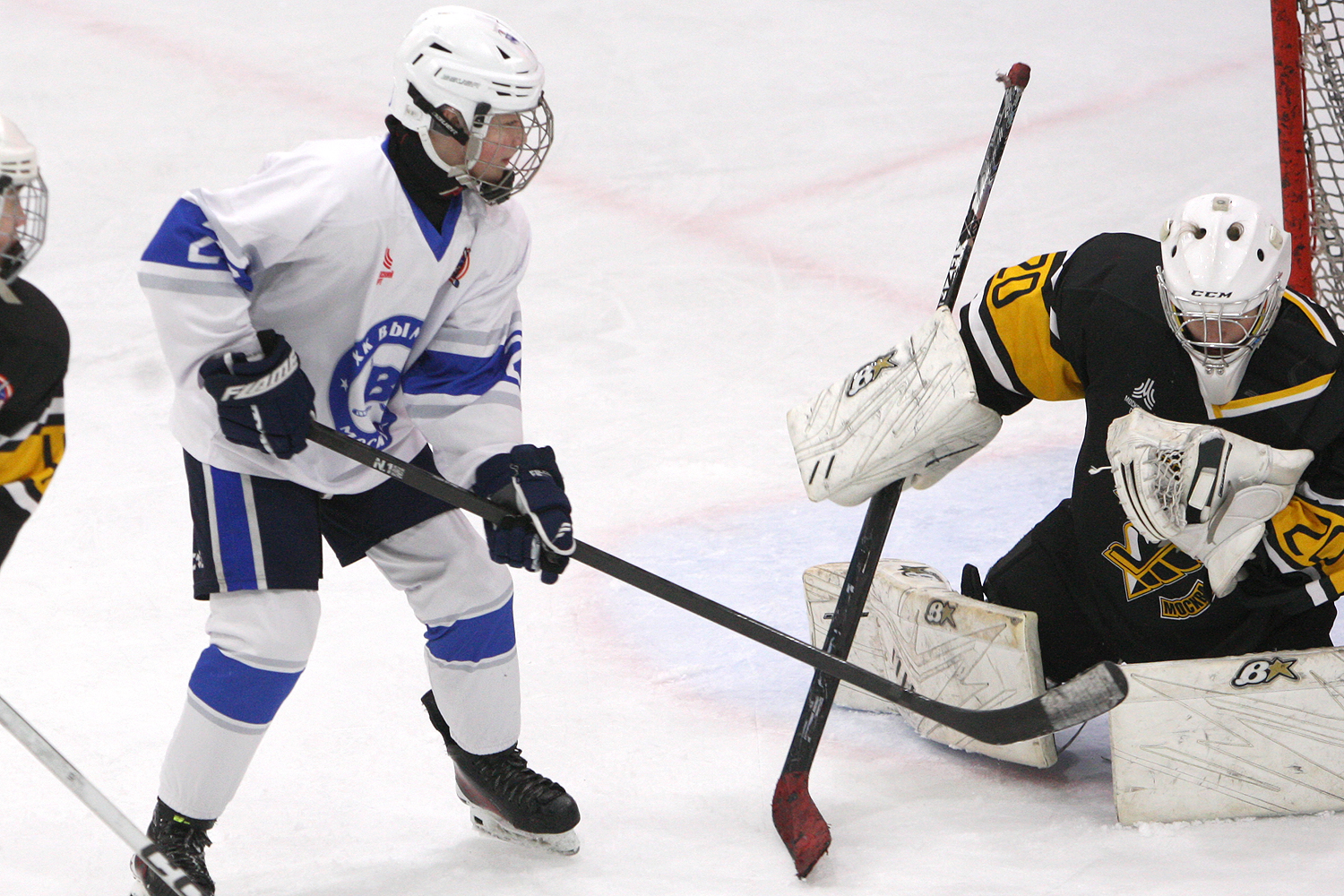Фото: Пингвины-2010 – Вымпел – 2:10