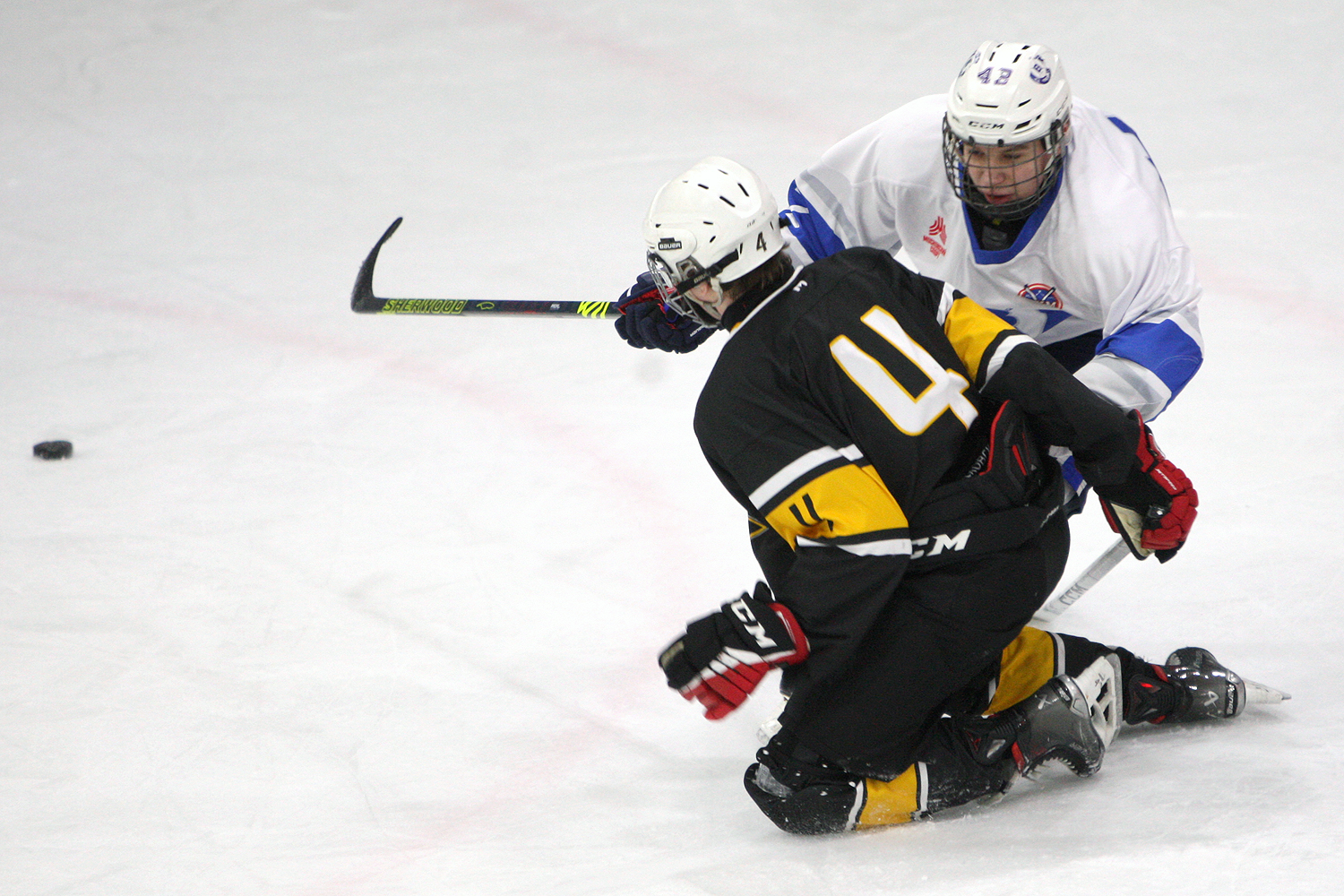 Фото: Пингвины-2010 – Вымпел – 2:10