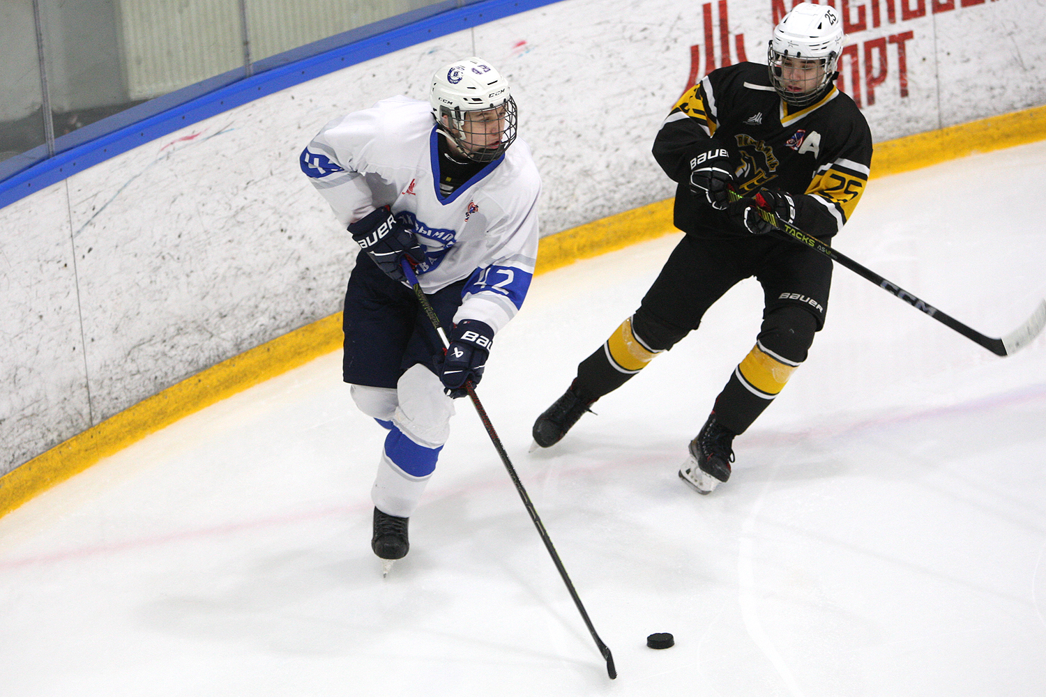 Фото: Пингвины-2010 – Вымпел – 2:10