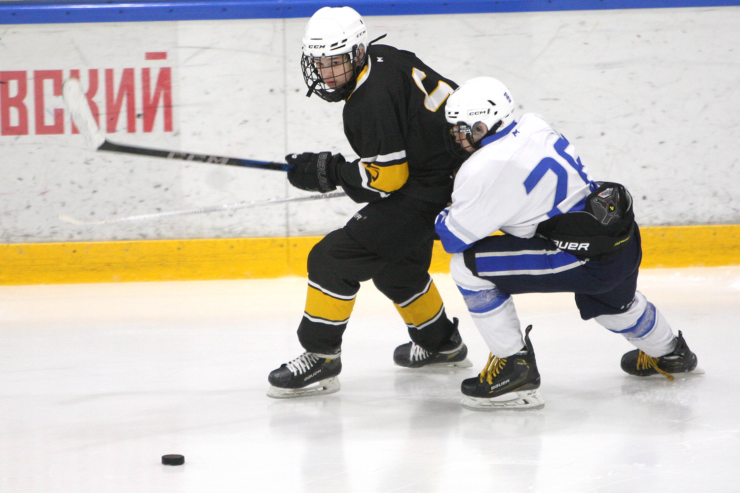 Фото: Пингвины-2010 – Вымпел – 2:10