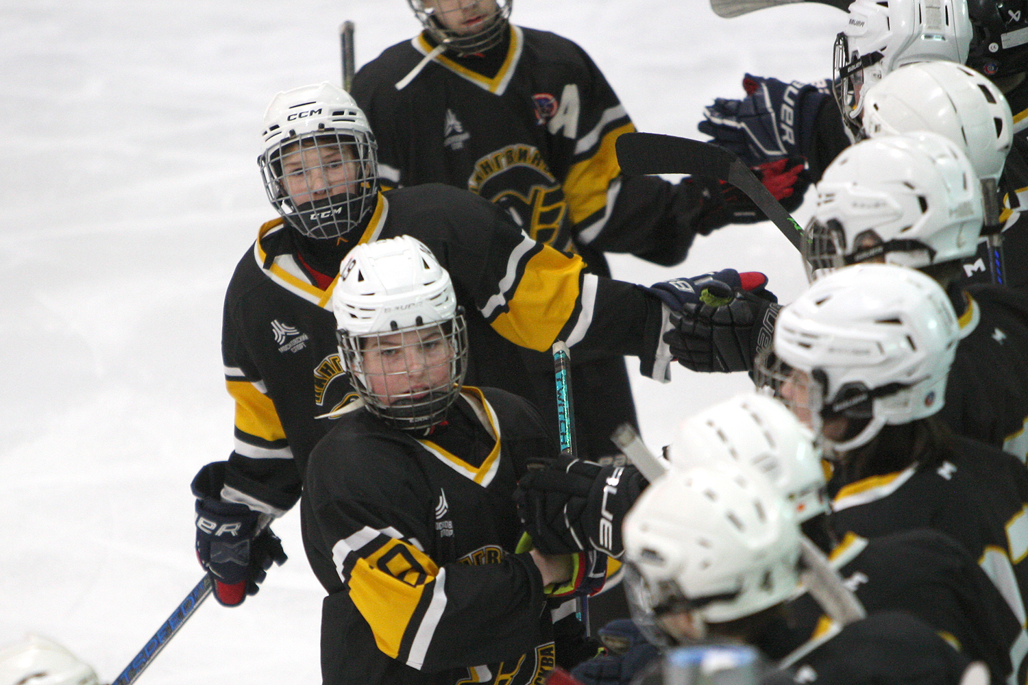 Фото: Пингвины-2010 – Вымпел – 2:10