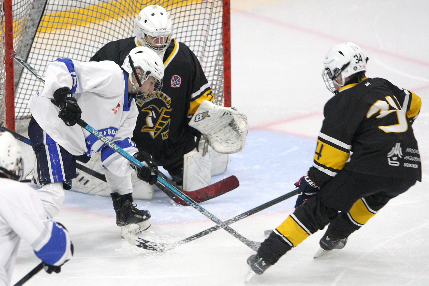 Фото: Пингвины-2010 – Вымпел – 2:10