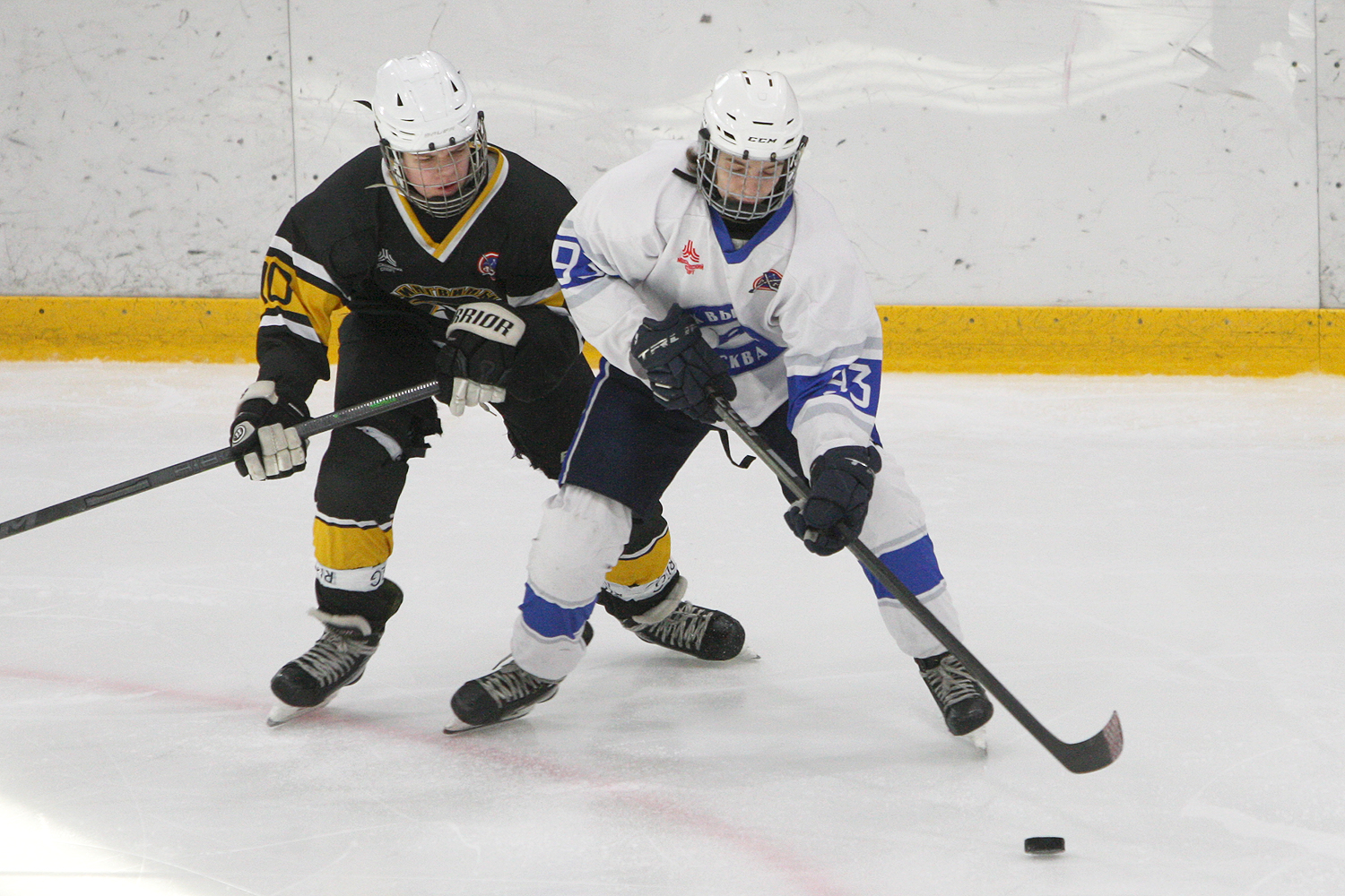 Фото: Пингвины-2010 – Вымпел – 2:10