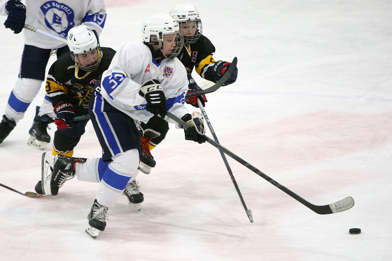 Фото: Пингвины-2010 – Вымпел – 2:10
