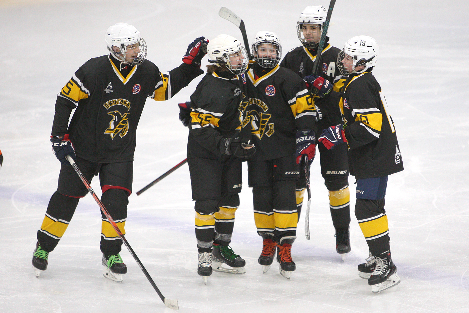 Фото: Пингвины-2010 – Вымпел – 2:10