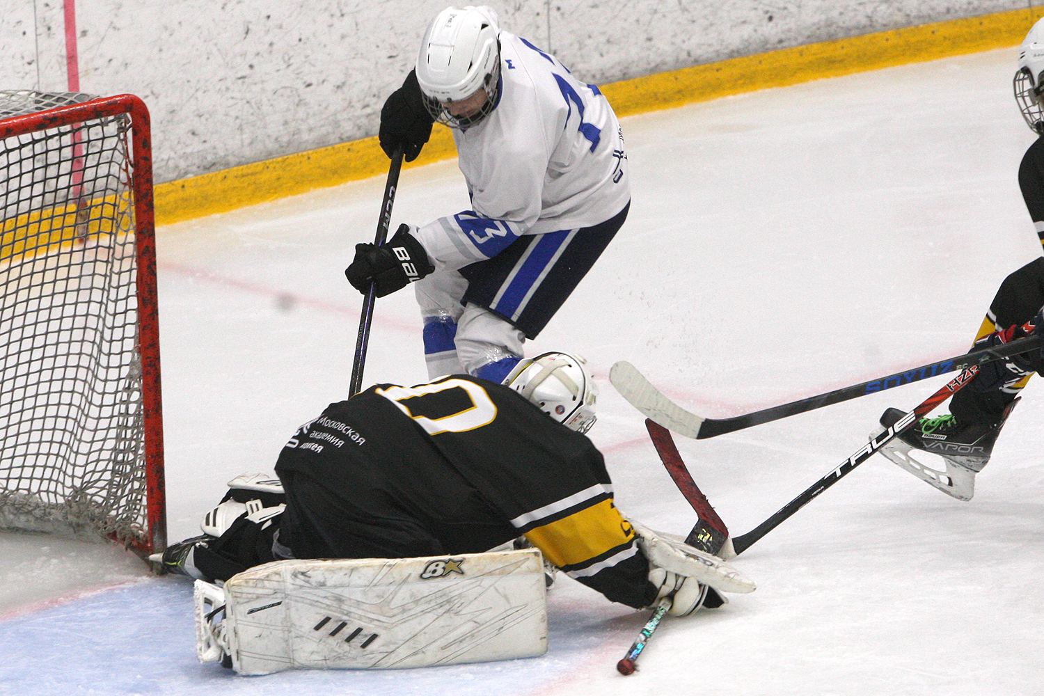 Фото: Пингвины-2010 – Вымпел – 2:10