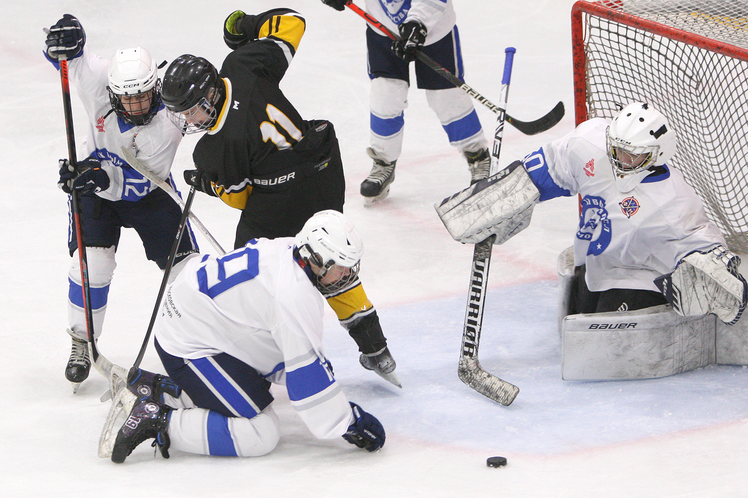 Фото: Пингвины-2010 – Вымпел – 2:10