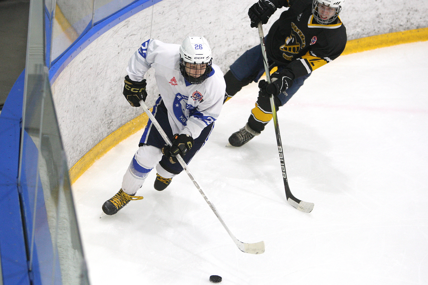 Фото: Пингвины-2010 – Вымпел – 2:10