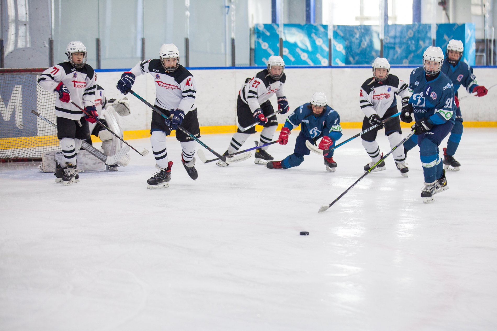 Фото: Динамо-Запад-2011 – Технопул – 5:0