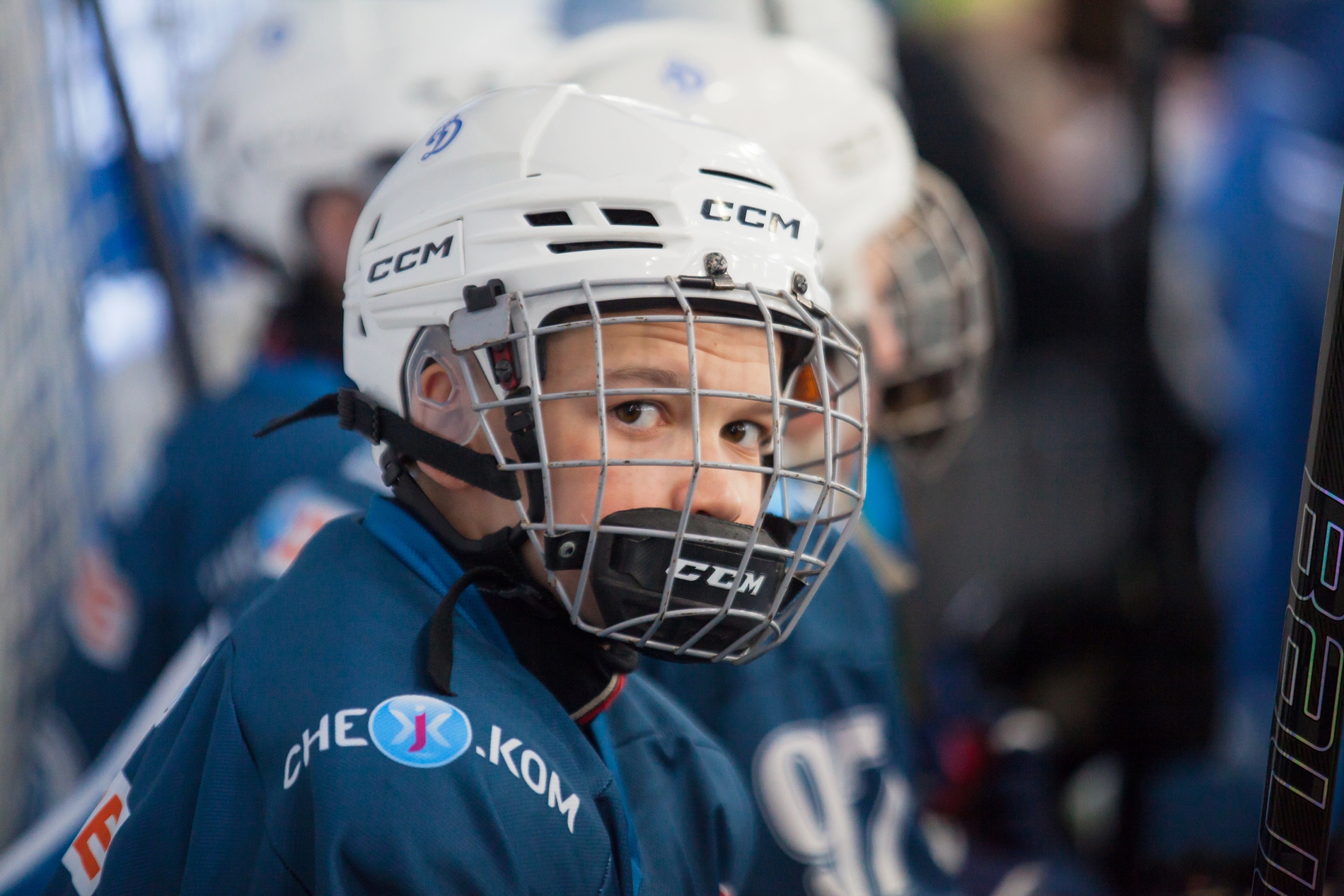 Фото: Динамо-Запад-2011 – Технопул – 5:0