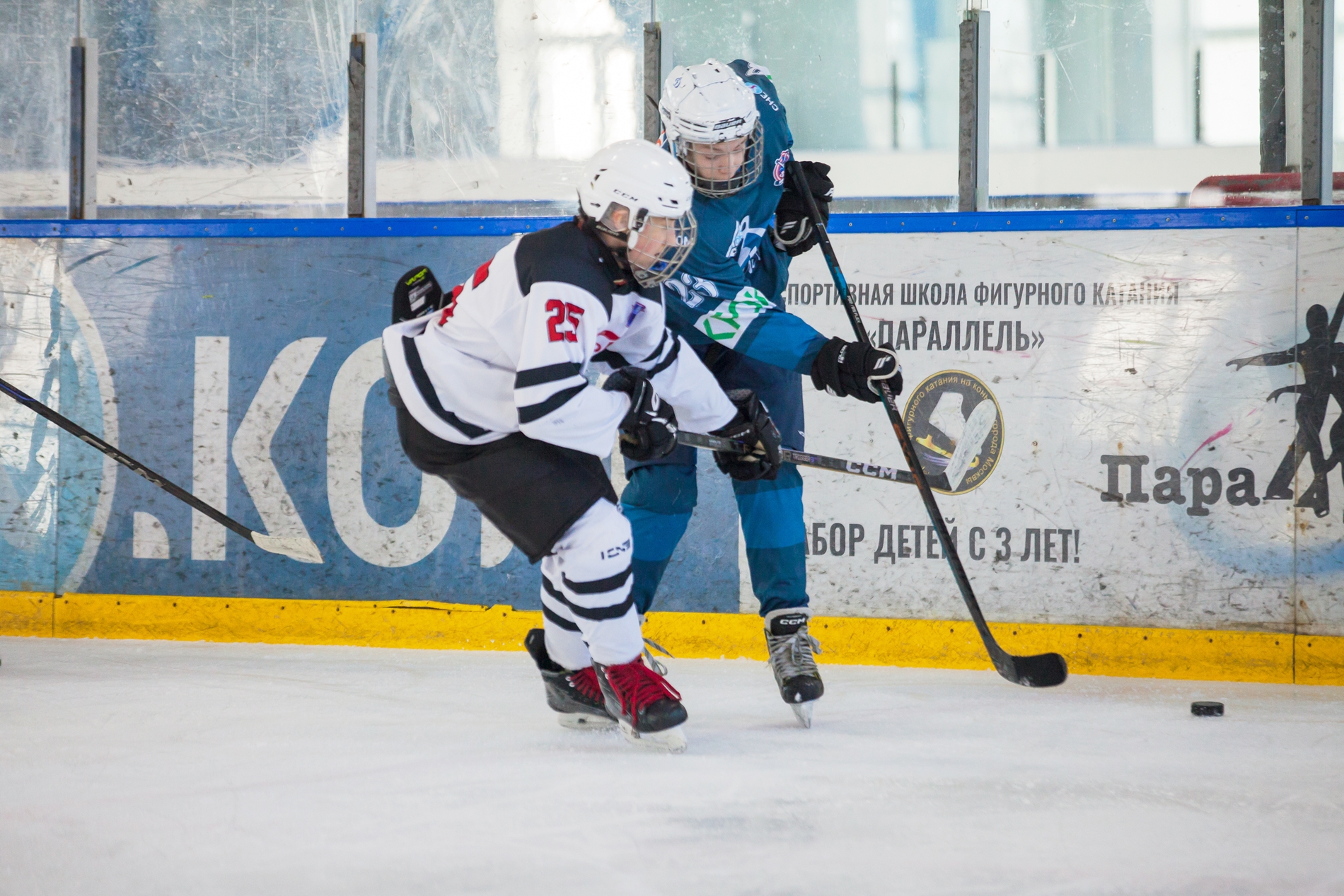 Фото: Динамо-Запад-2011 – Технопул – 5:0