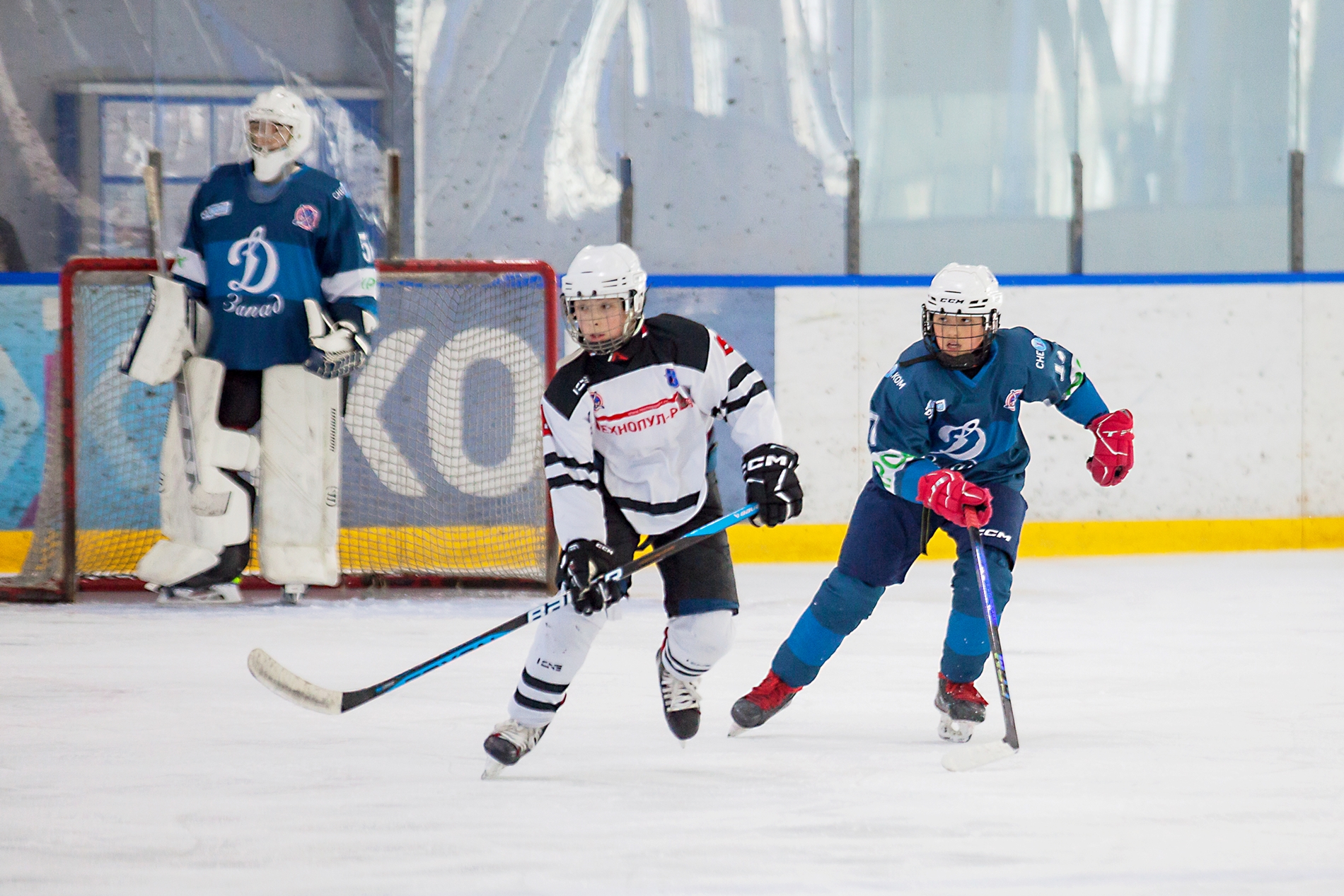 Фото: Динамо-Запад-2011 – Технопул – 5:0