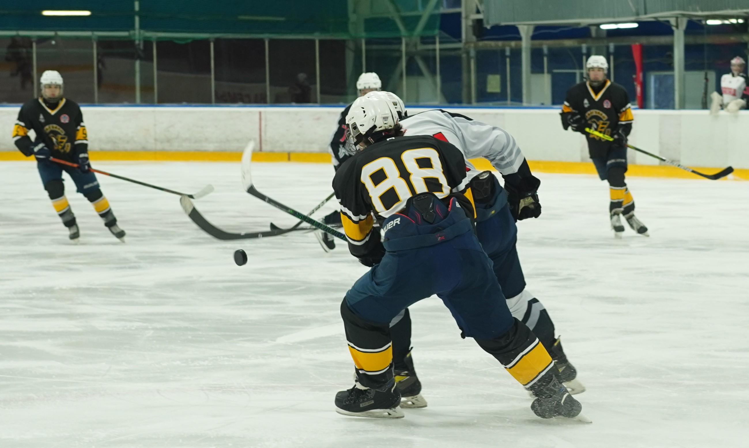 Фото: Пингвины-2008 – Запад-Ястребы – 5:6 ОТ 