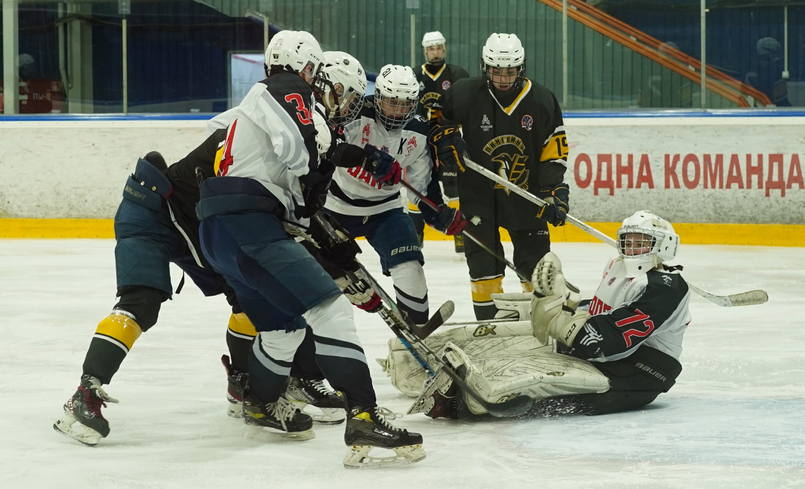 Фото: Пингвины-2008 – Запад-Ястребы – 5:6 ОТ 