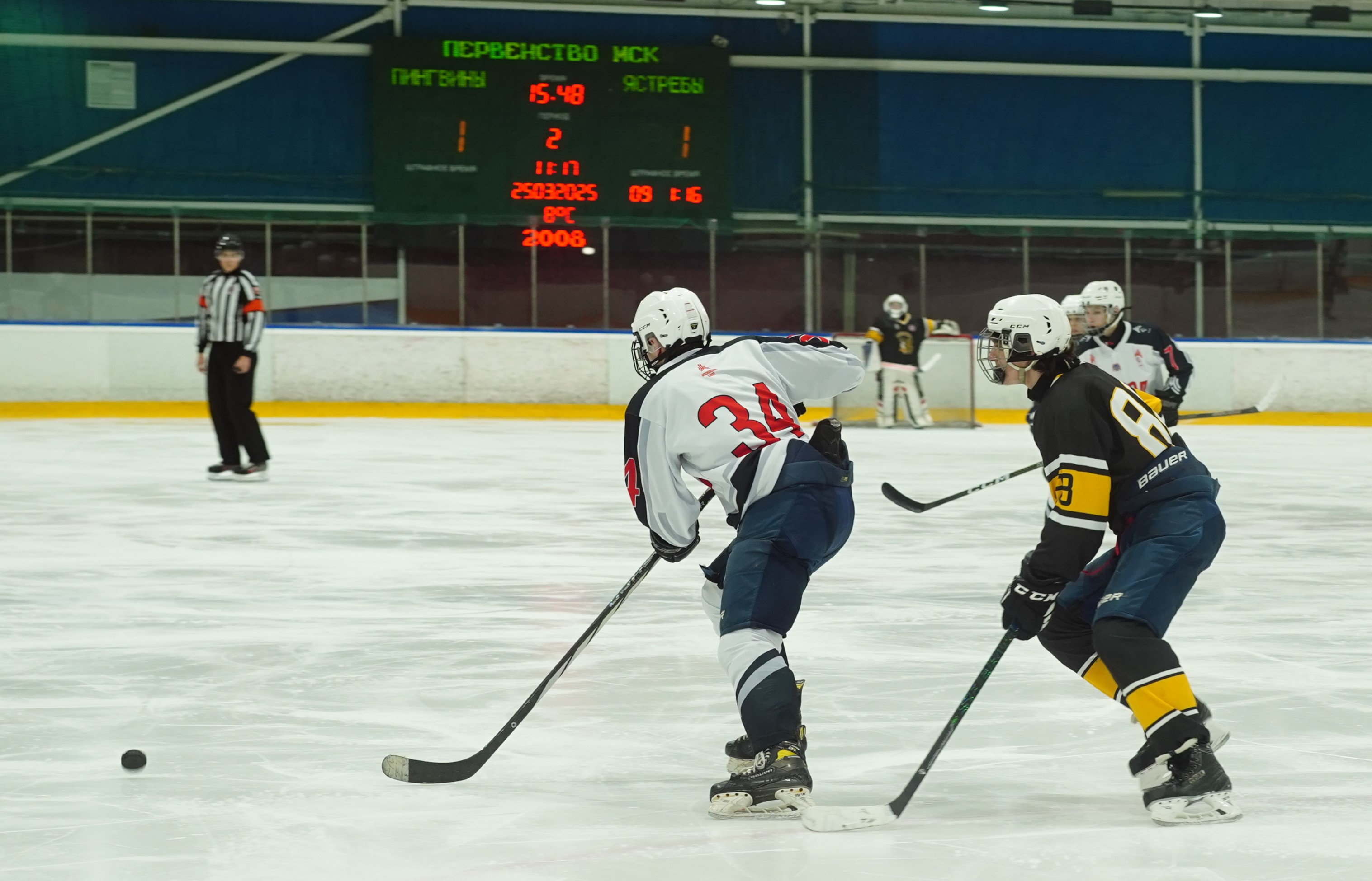 Фото: Пингвины-2008 – Запад-Ястребы – 5:6 ОТ 