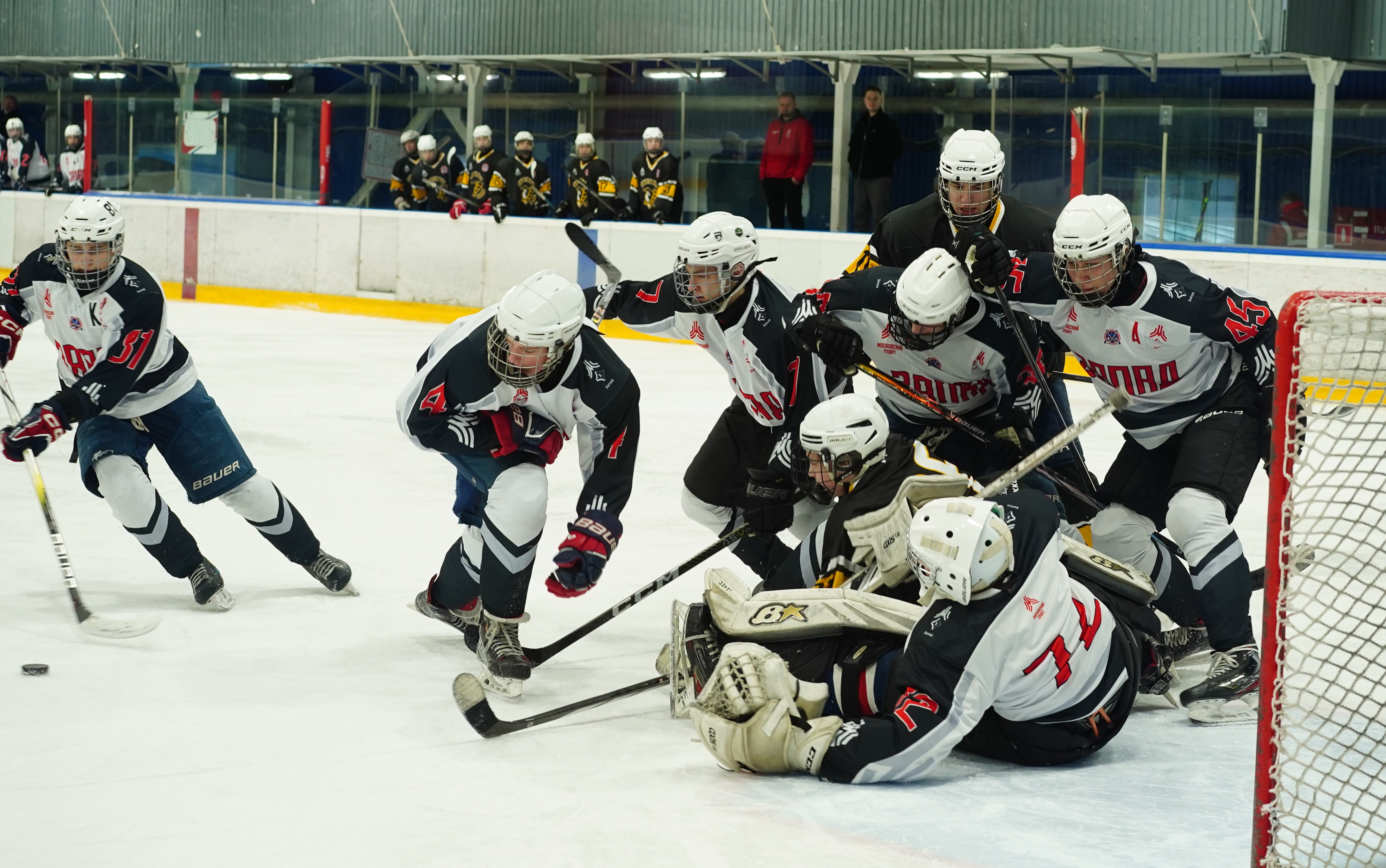 Фото: Пингвины-2008 – Запад-Ястребы – 5:6 ОТ 