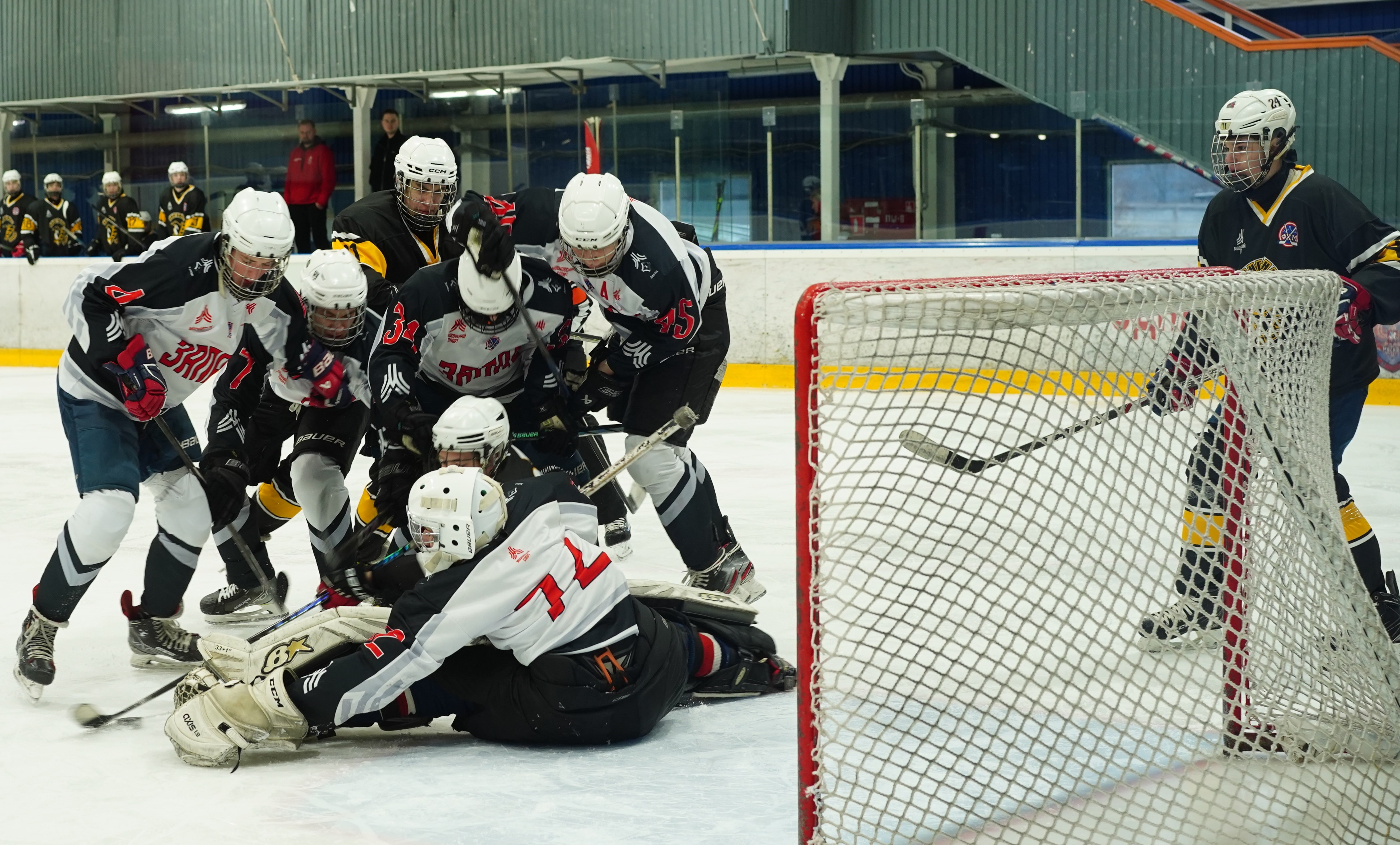 Фото: Пингвины-2008 – Запад-Ястребы – 5:6 ОТ 