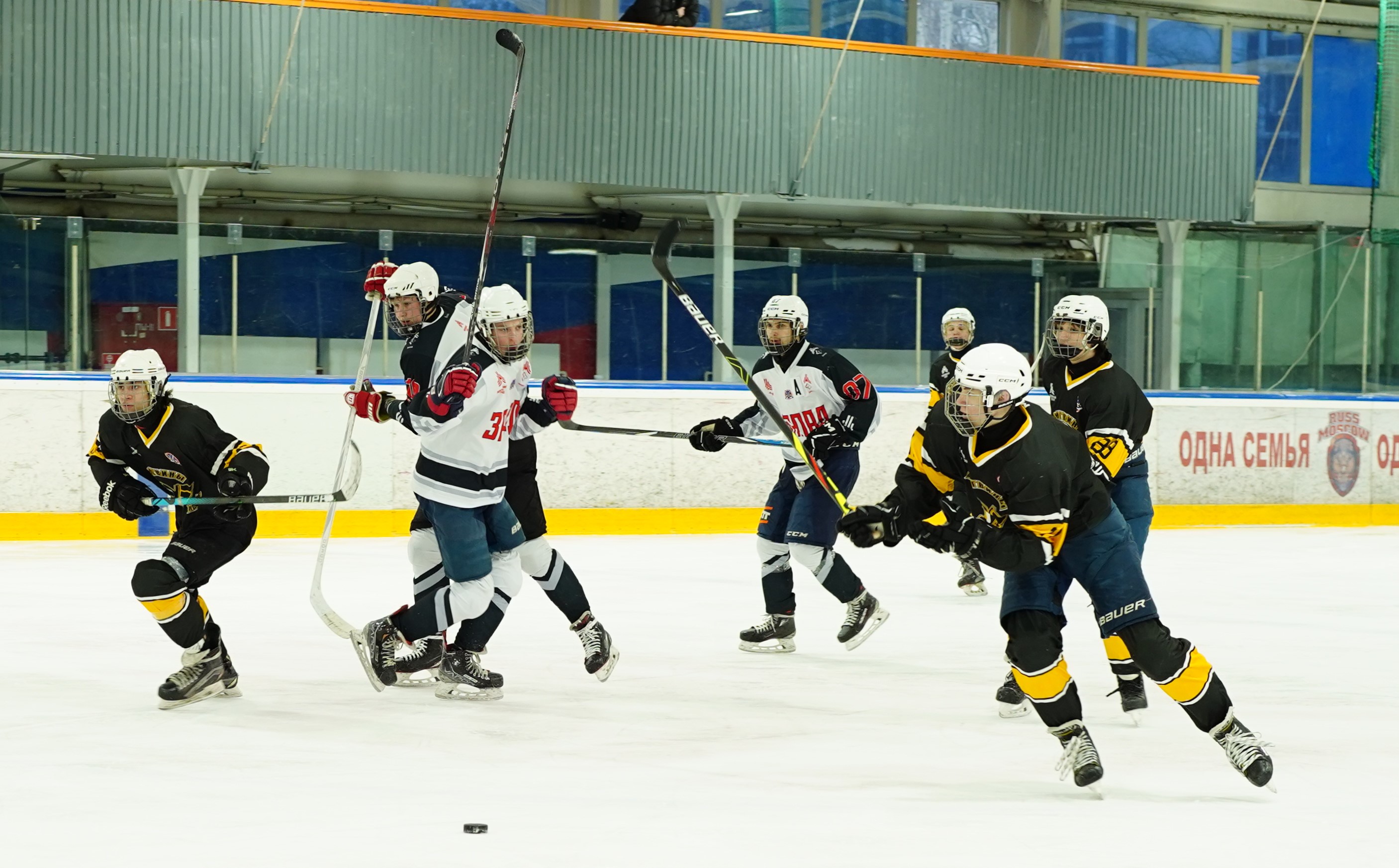 Фото: Пингвины-2008 – Запад-Ястребы – 5:6 ОТ 