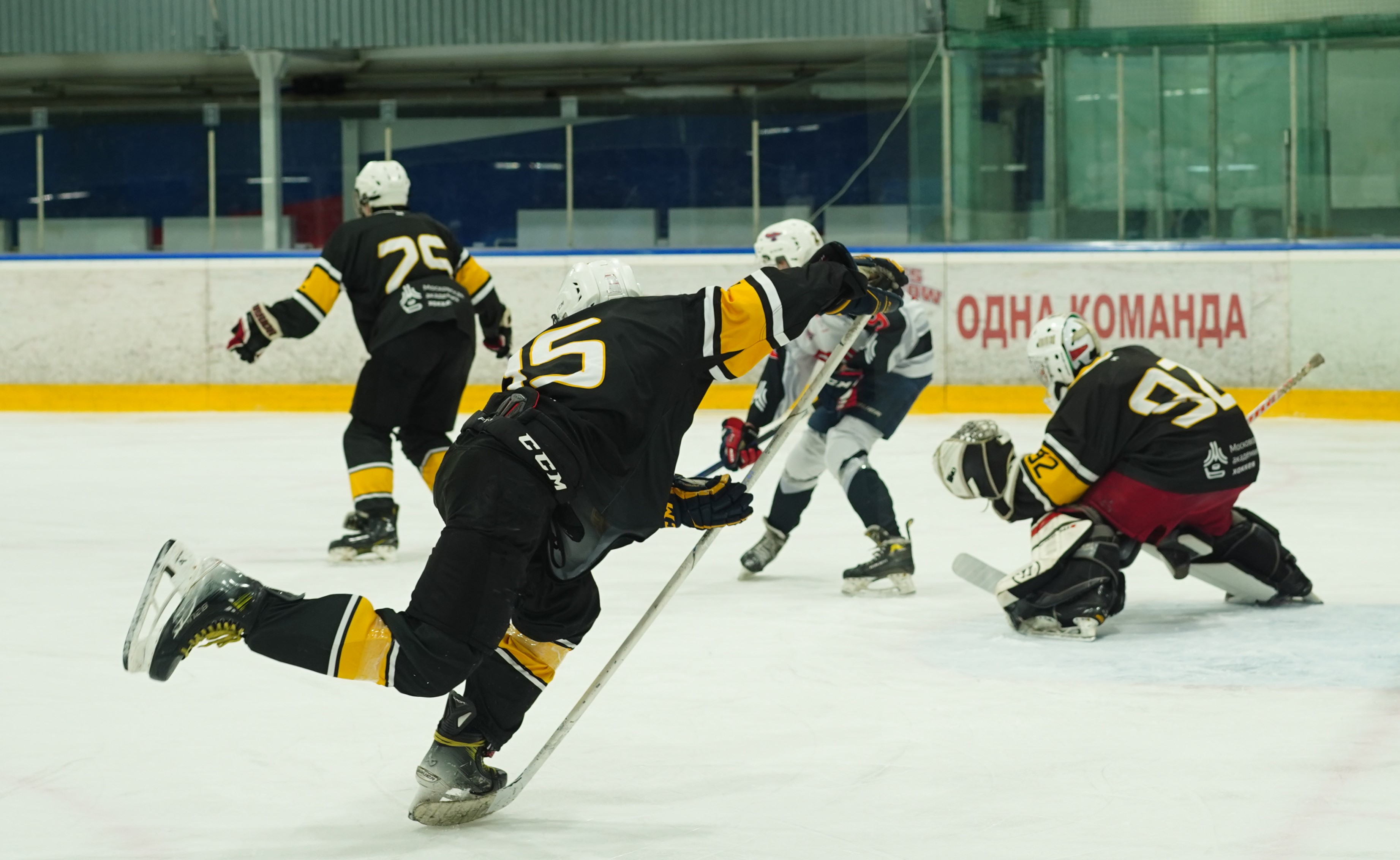 Фото: Пингвины-2008 – Запад-Ястребы – 5:6 ОТ 