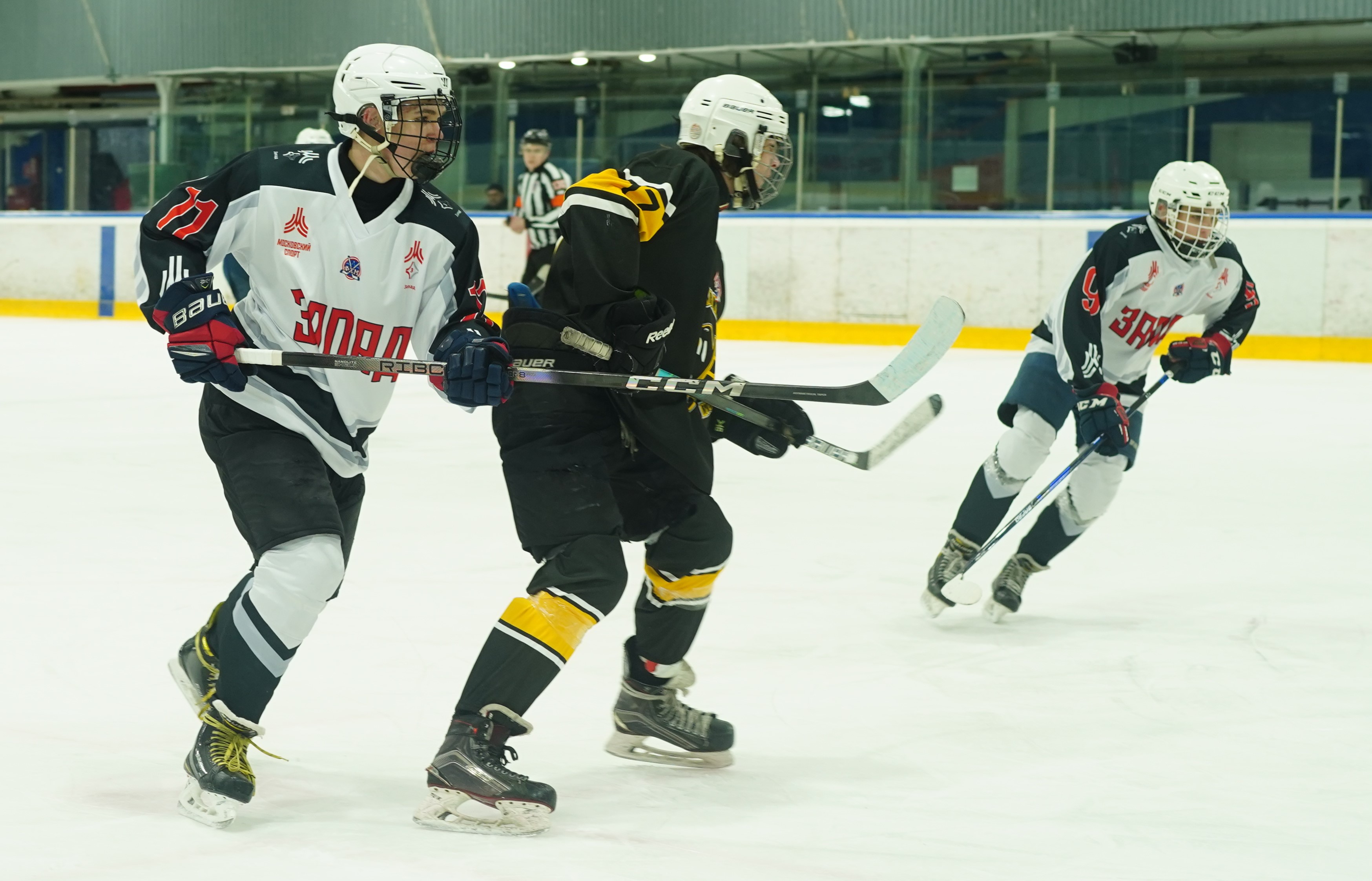 Фото: Пингвины-2008 – Запад-Ястребы – 5:6 ОТ 