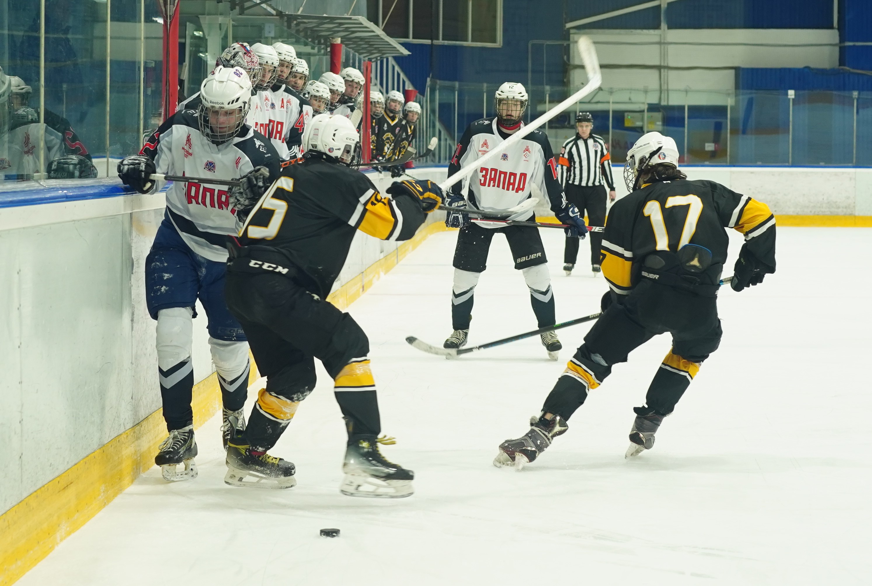 Фото: Пингвины-2008 – Запад-Ястребы – 5:6 ОТ 