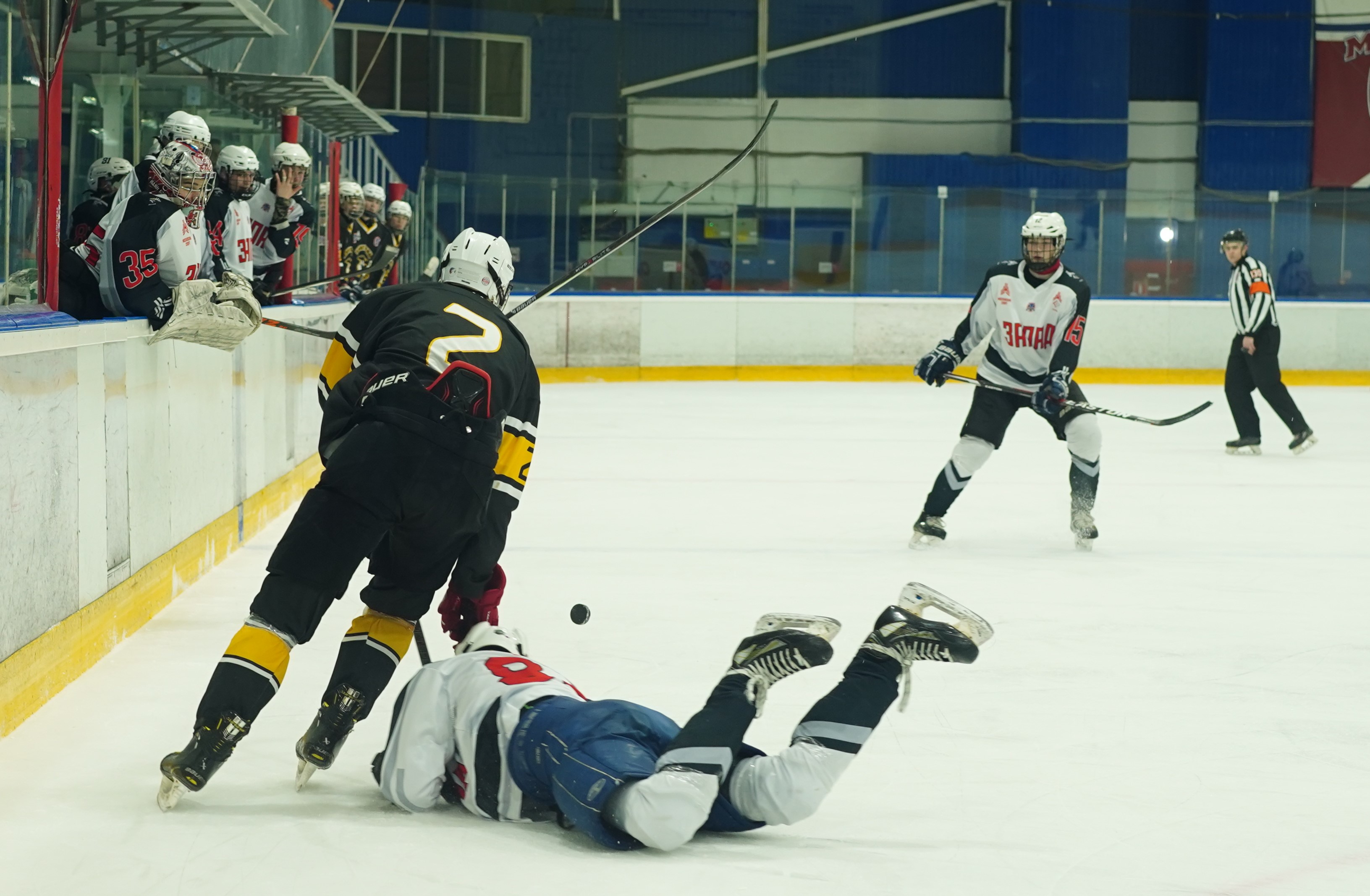 Фото: Пингвины-2008 – Запад-Ястребы – 5:6 ОТ 