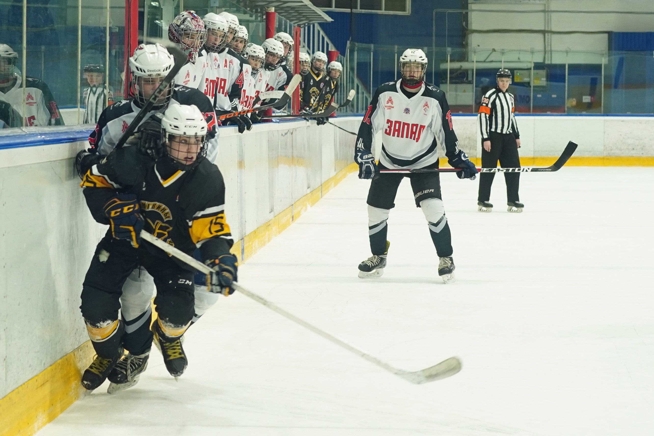 Фото: Пингвины-2008 – Запад-Ястребы – 5:6 ОТ 