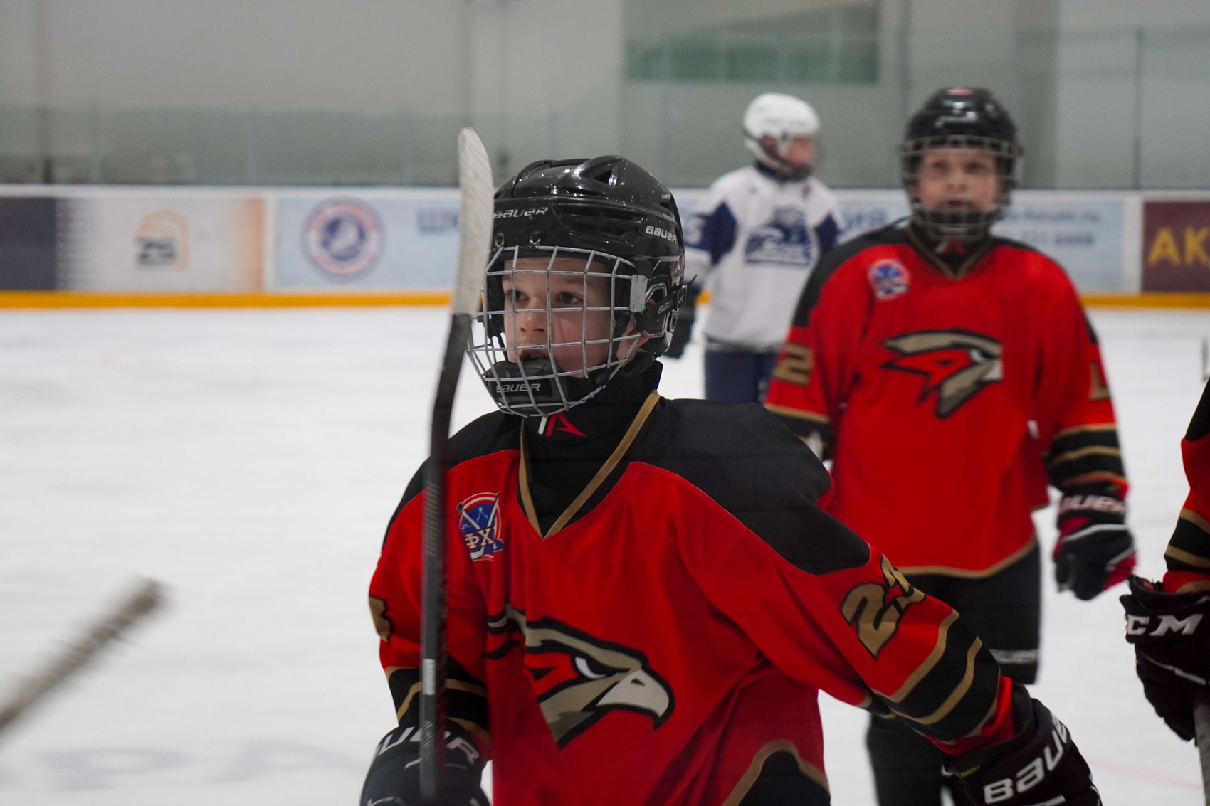 Фото: Авангард-2014 – Белые Медведи – 3:2