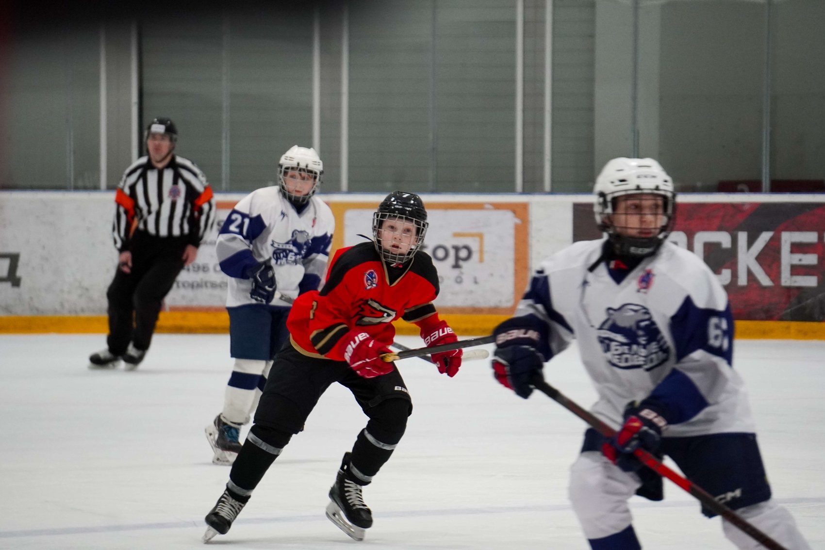 Фото: Авангард-2014 – Белые Медведи – 3:2