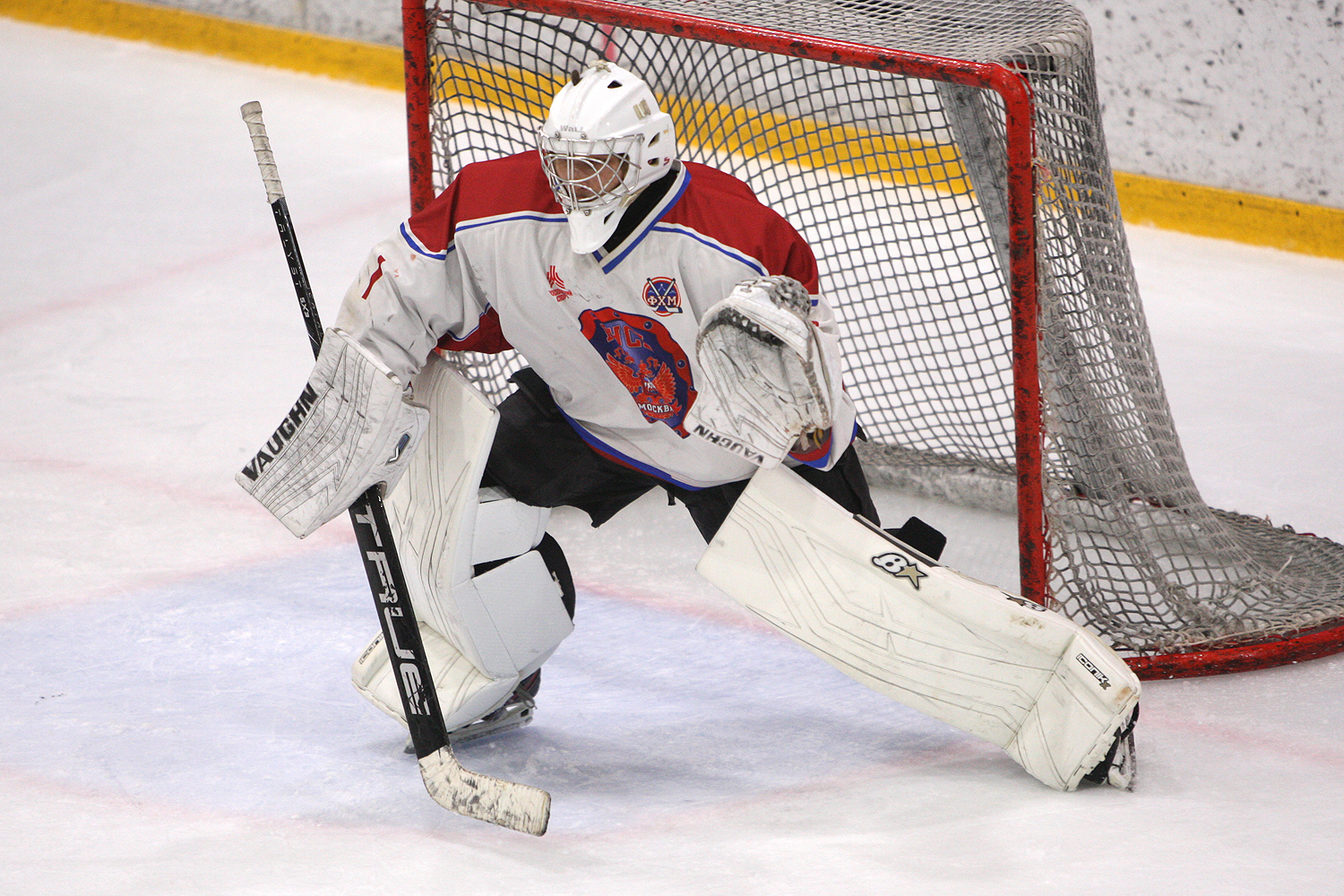 Фото: МАХ-2008 – Русь – 8:3