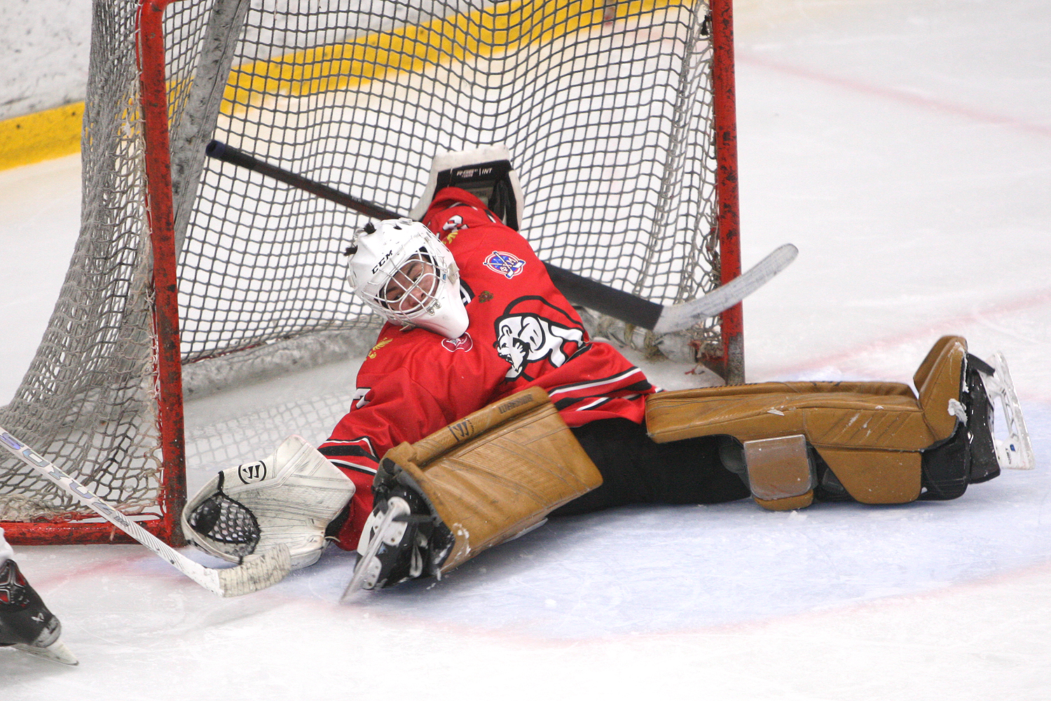 Фото: Центр-2010 – Серебряные акулы – 1:7