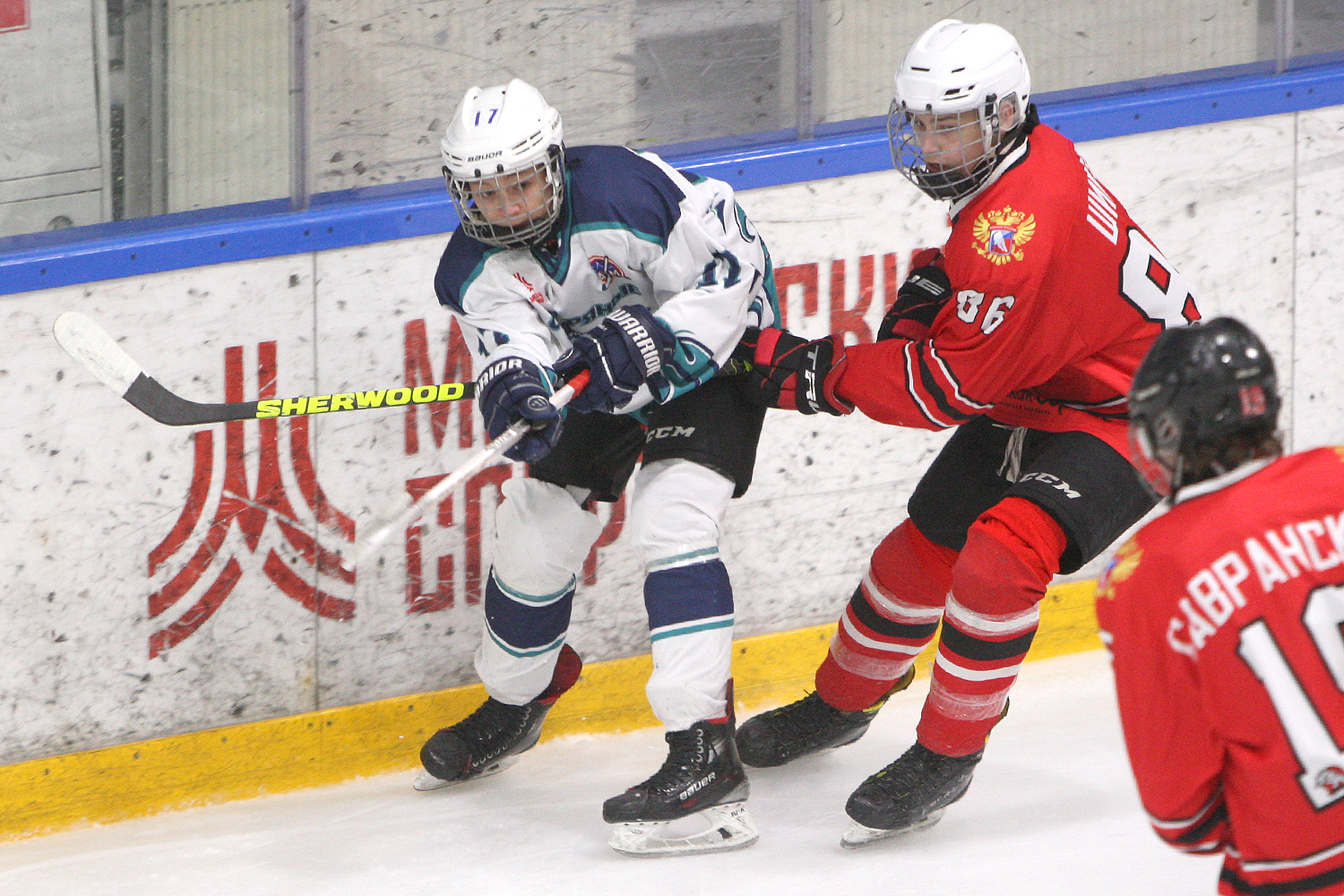 Фото: Центр-2010 – Серебряные акулы – 1:7