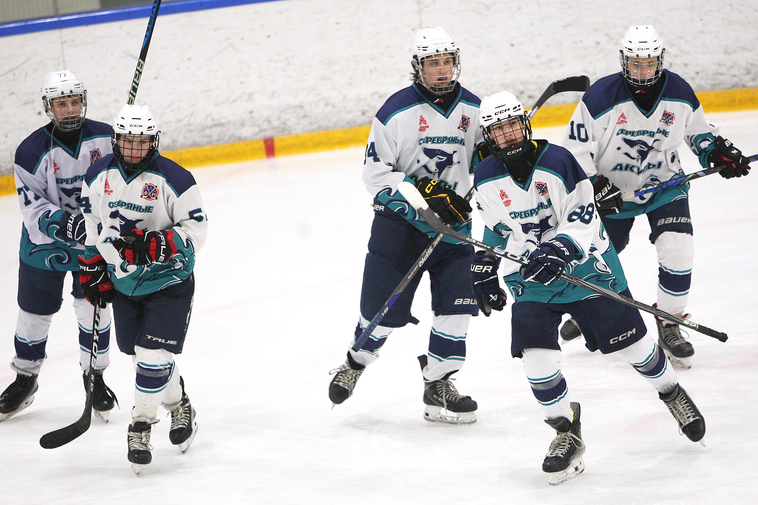 Фото: Центр-2010 – Серебряные акулы – 1:7