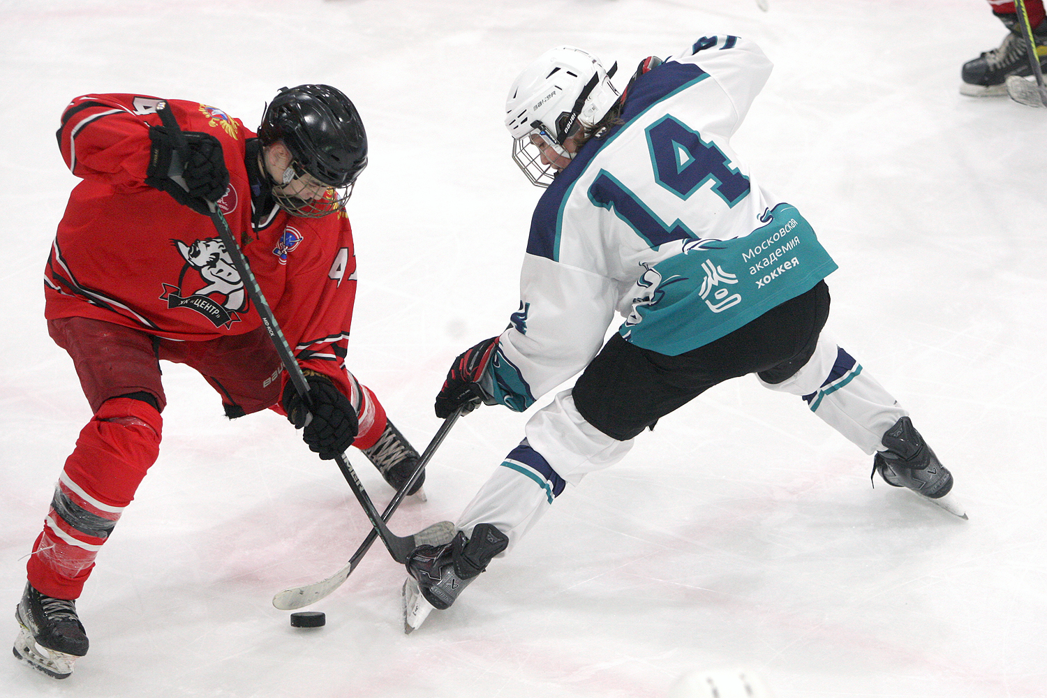 Фото: Центр-2010 – Серебряные акулы – 1:7