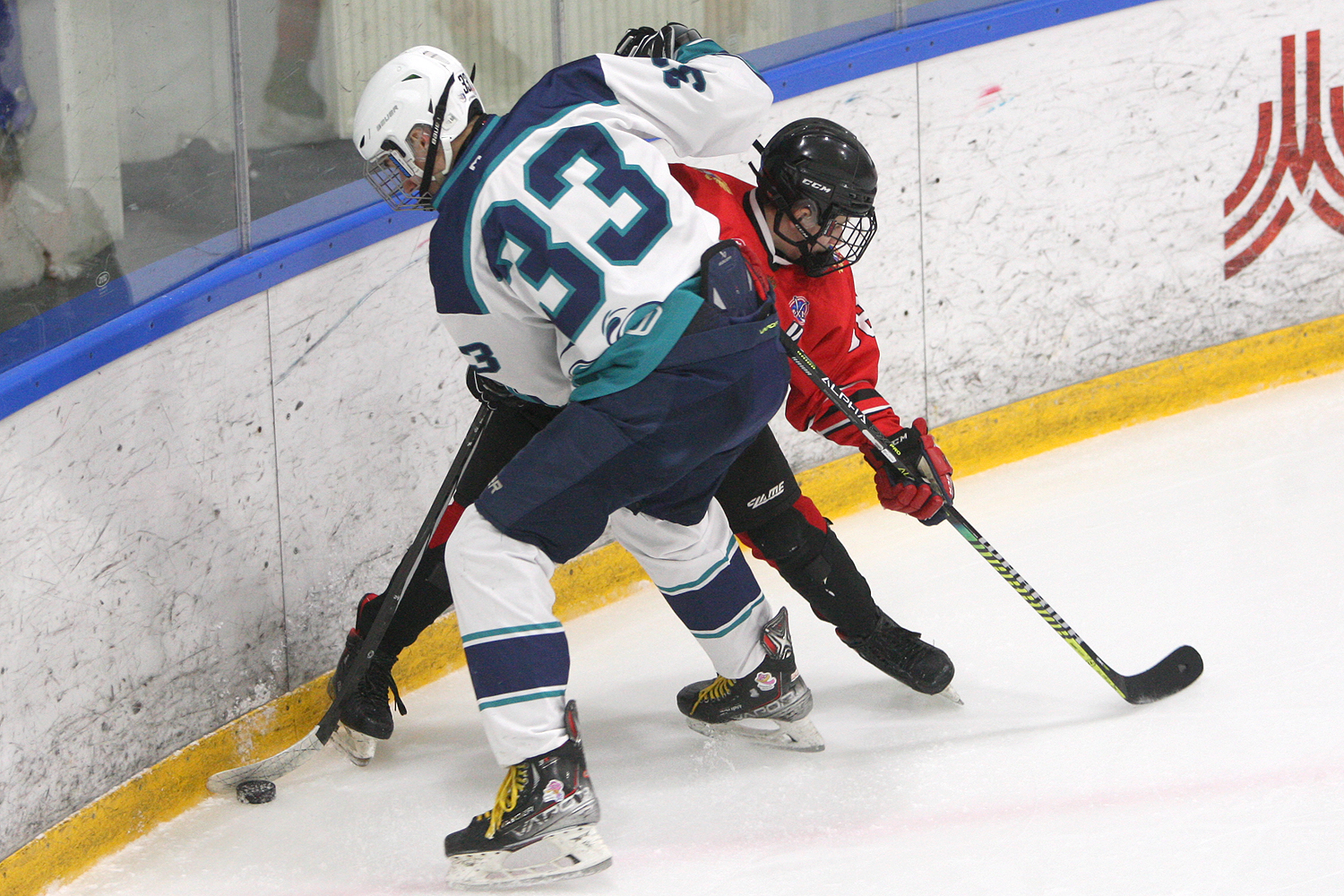 Фото: Центр-2010 – Серебряные акулы – 1:7