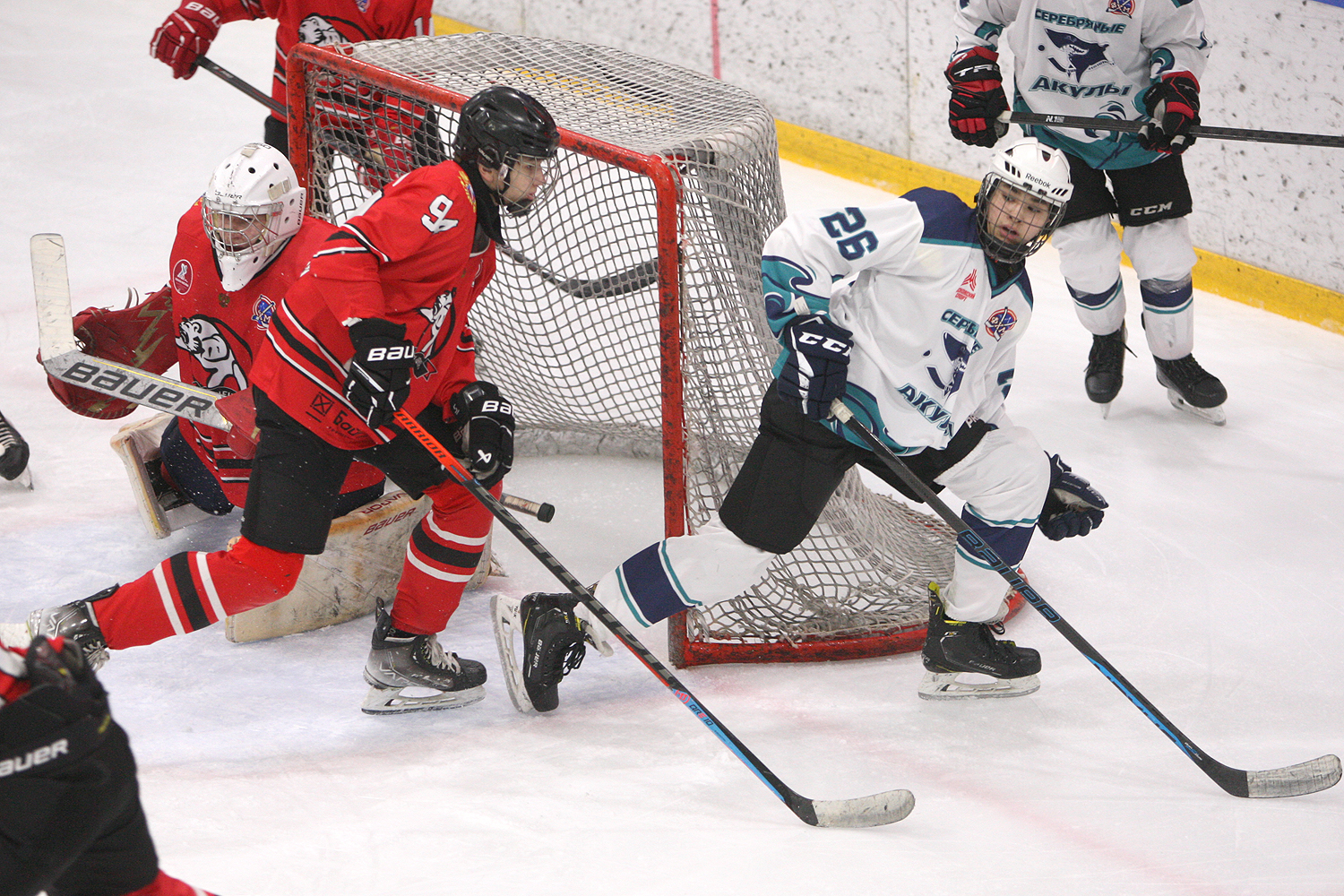 Фото: Центр-2010 – Серебряные акулы – 1:7