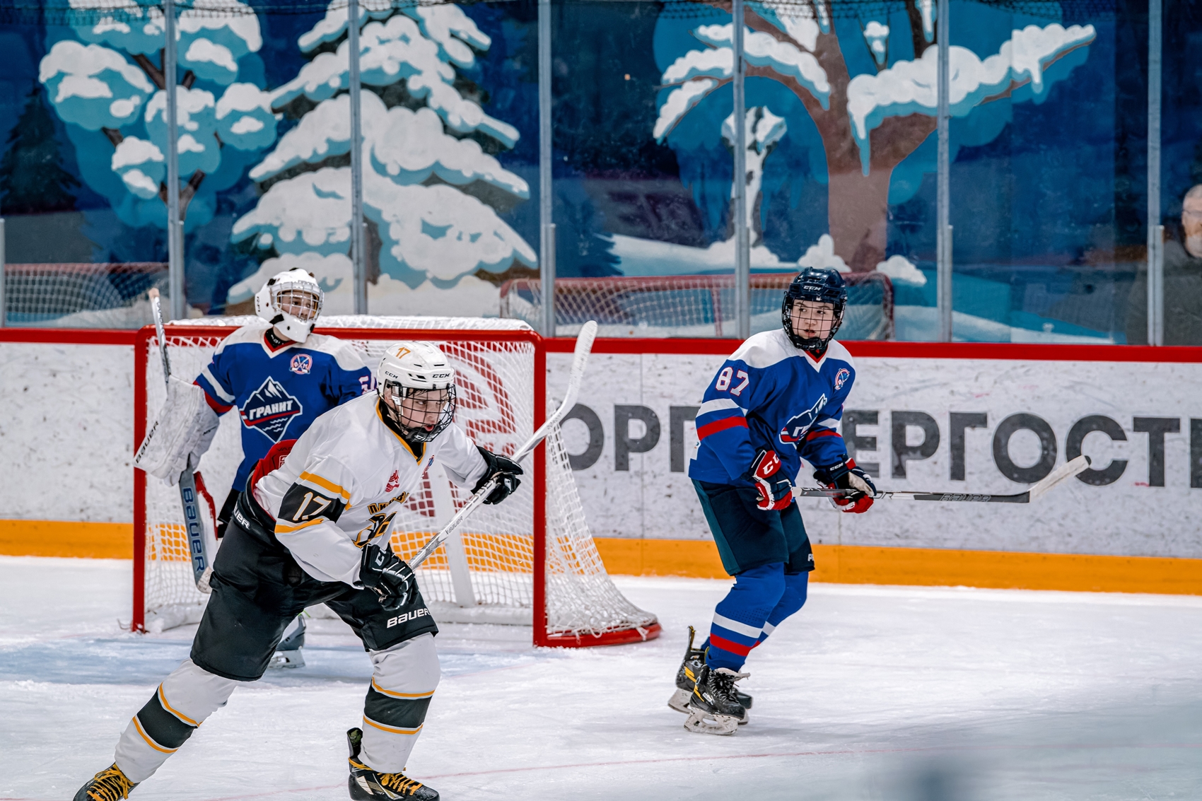 Фото: Гранит-2011 – Пингвины – 2:5