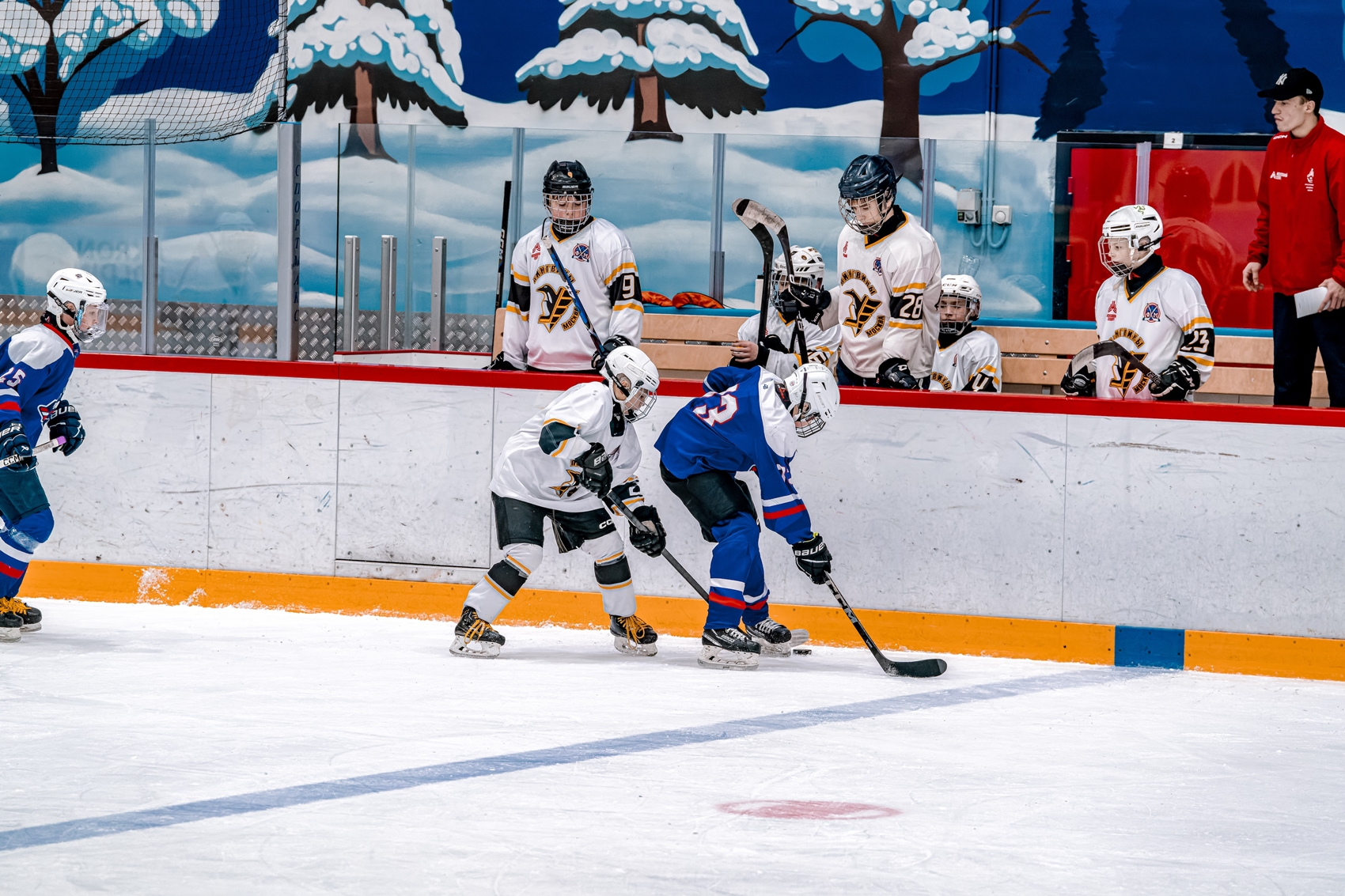 Фото: Гранит-2011 – Пингвины – 2:5