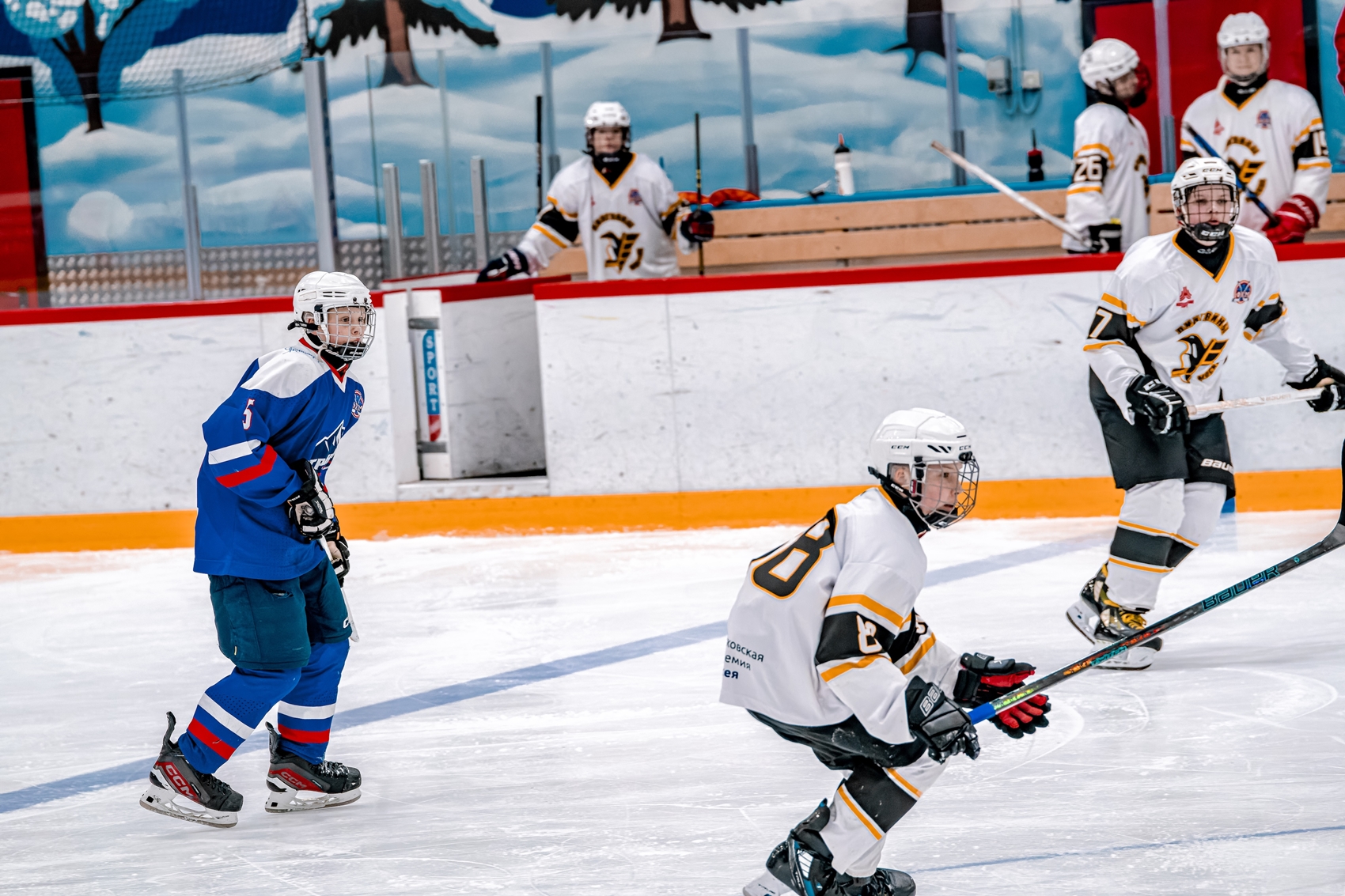 Фото: Гранит-2011 – Пингвины – 2:5